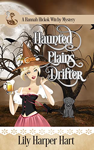 Haunted Plains Drifter book cover
