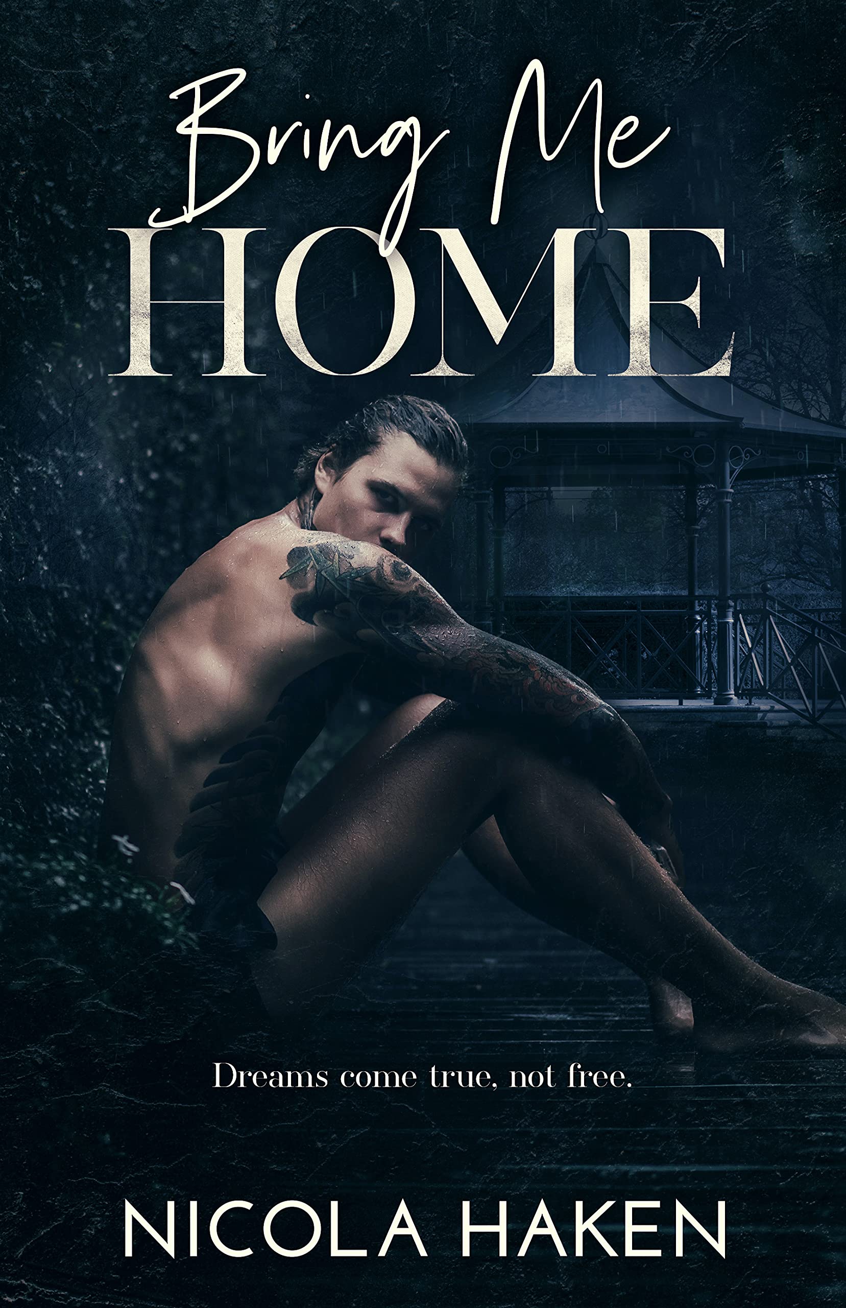 Bring Me Home book cover