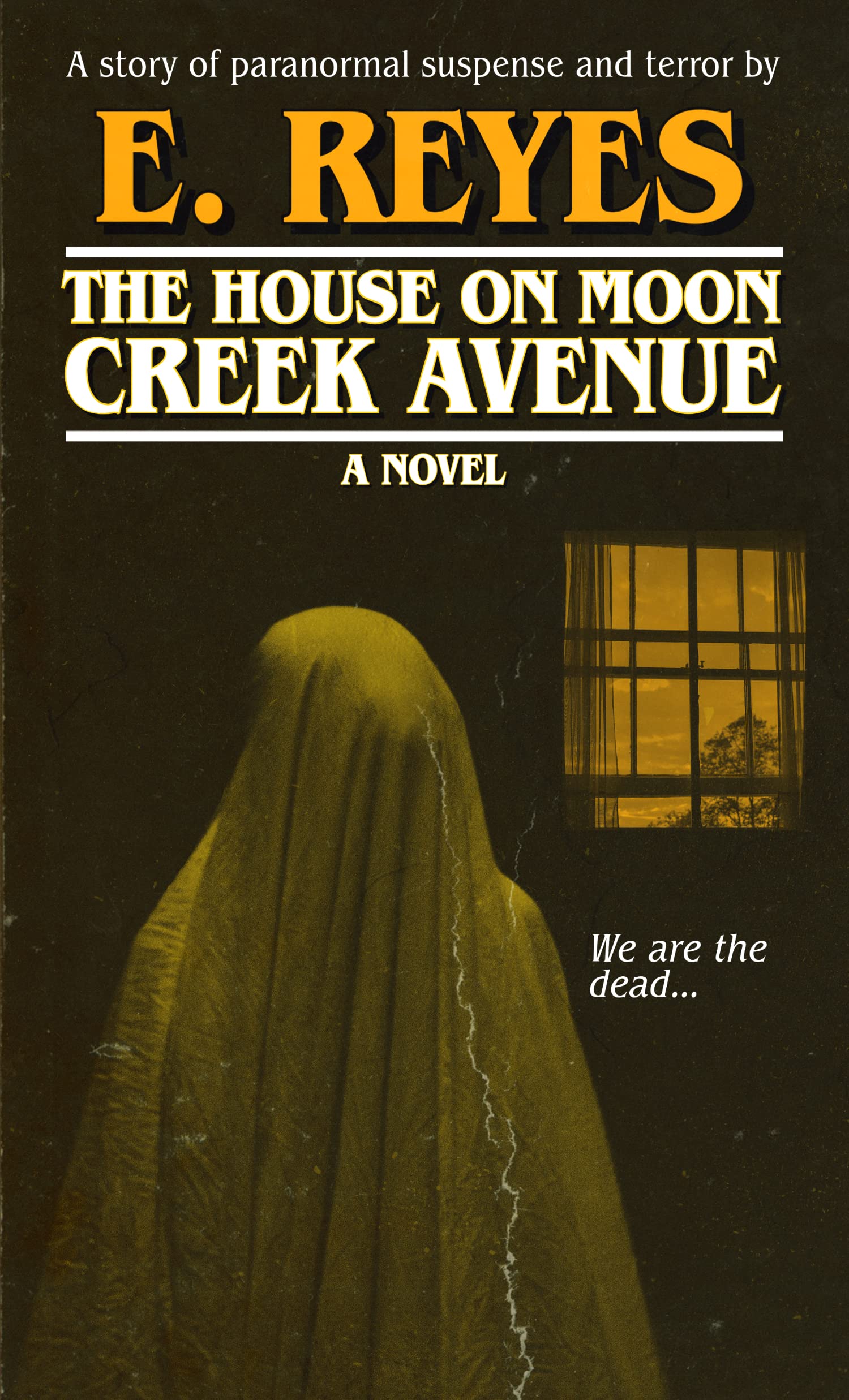 The House on Moon Creek Avenue book cover