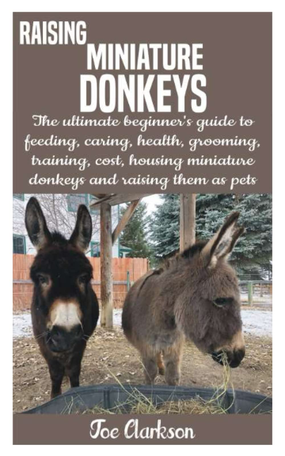 RAISING MINIATURE DONKEYS The ultimate beginner’s guide to feeding