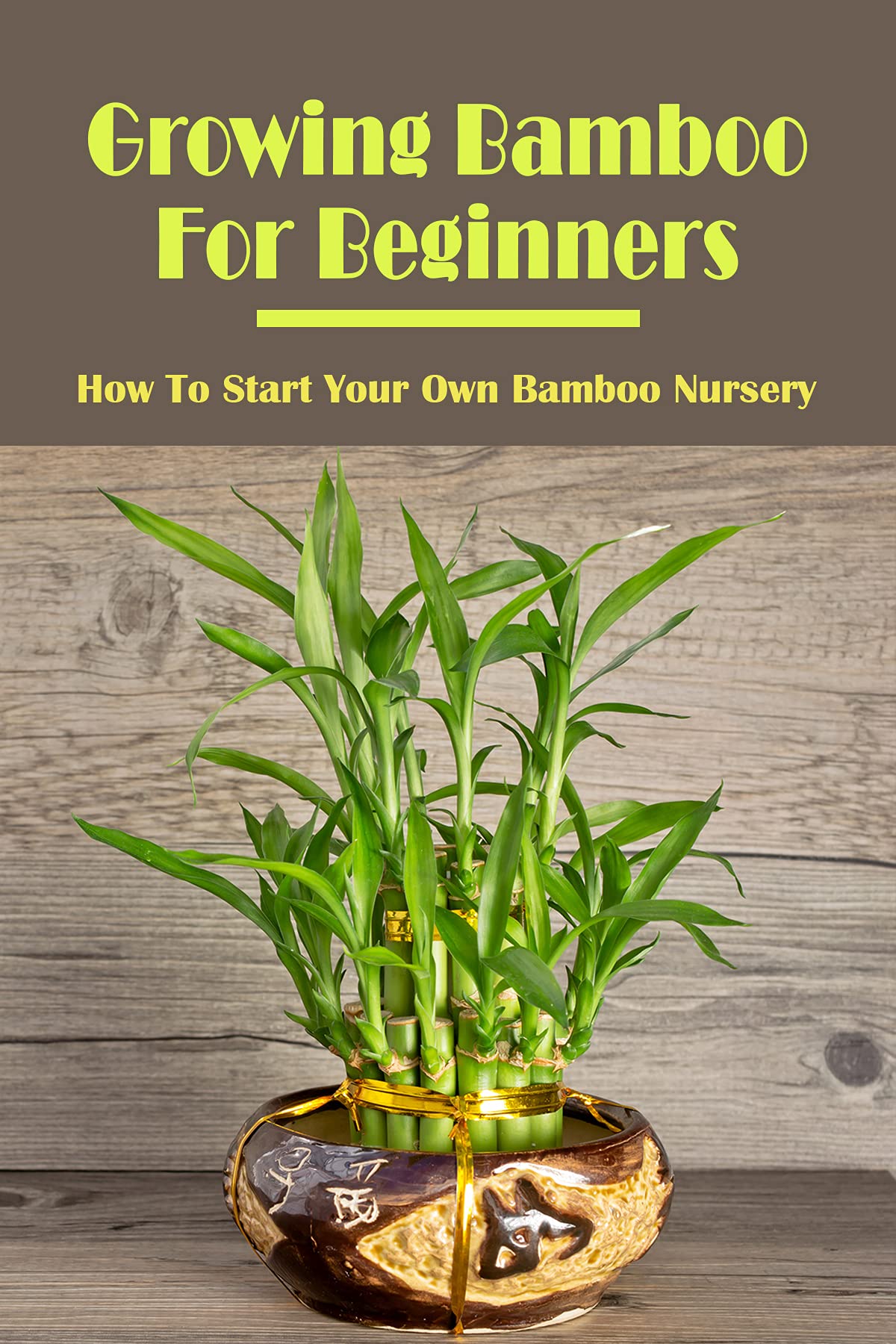 Growing Bamboo For Beginners How To Start Your Own Bamboo Nursery Faq