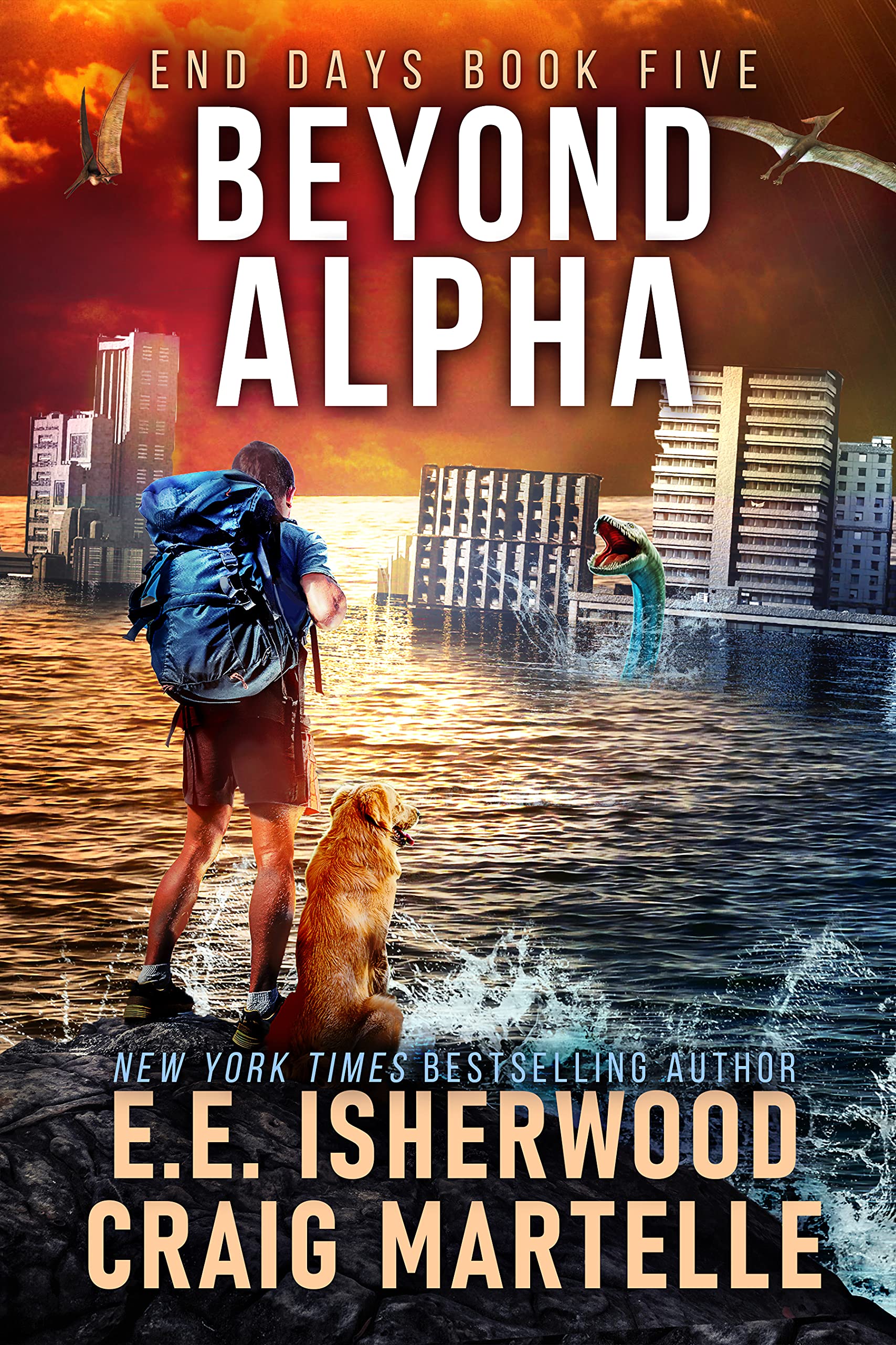 Beyond Alpha book cover