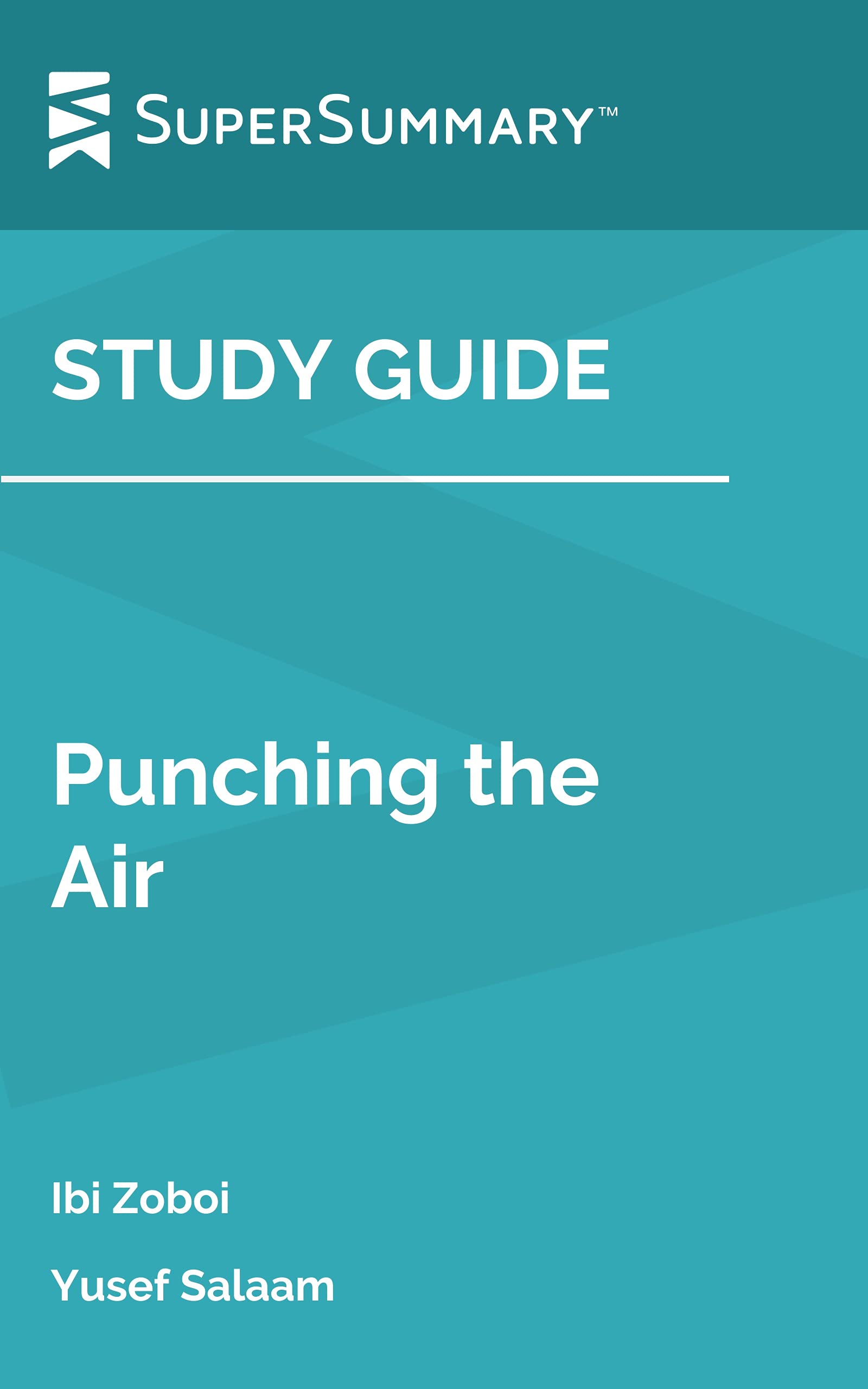 Study Guide Punching the Air by Ibi Zoboi and Yusef Salaam by