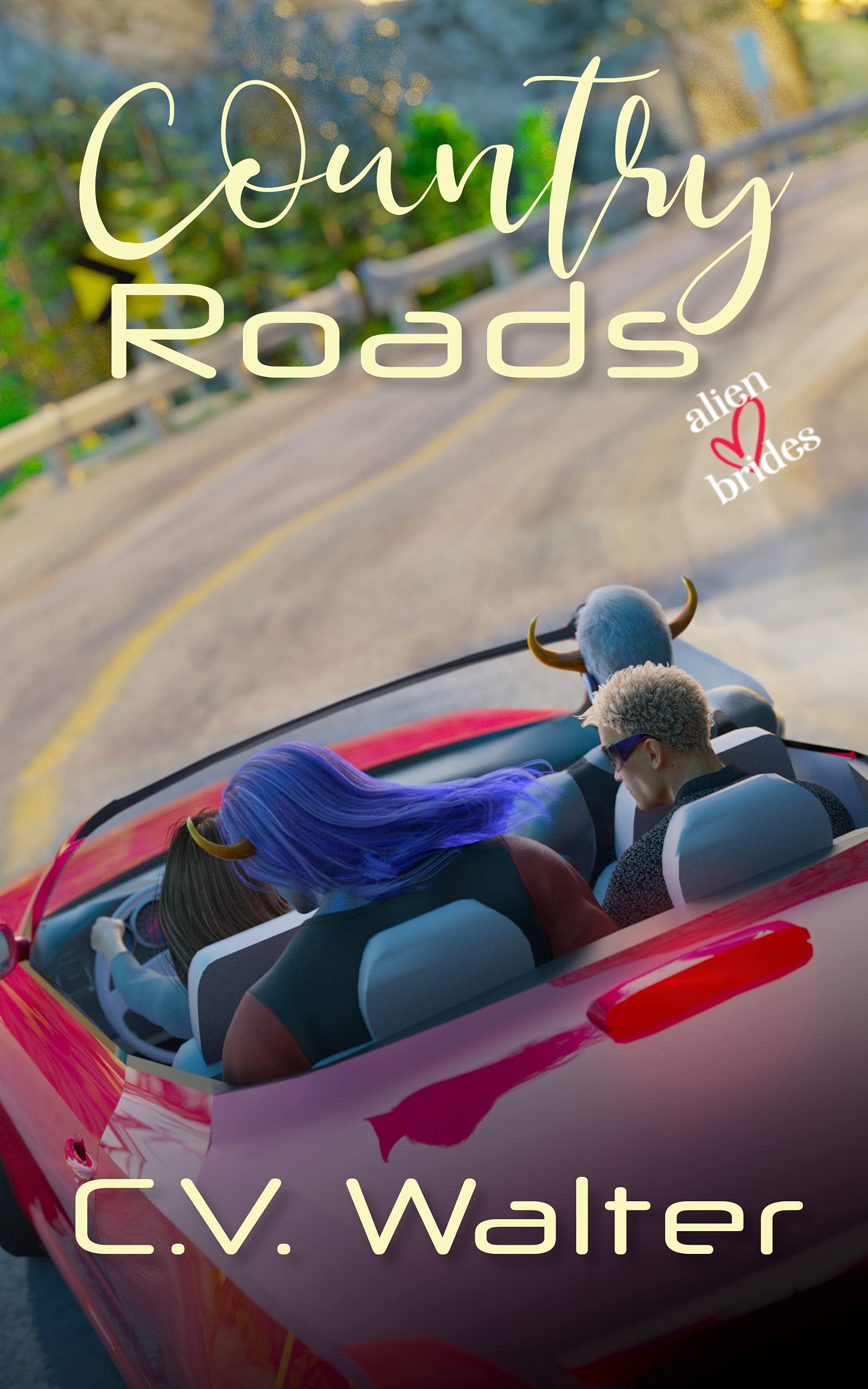 Country Roads book cover