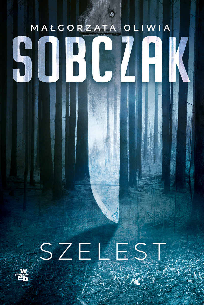 Granice ryzyka book cover 1