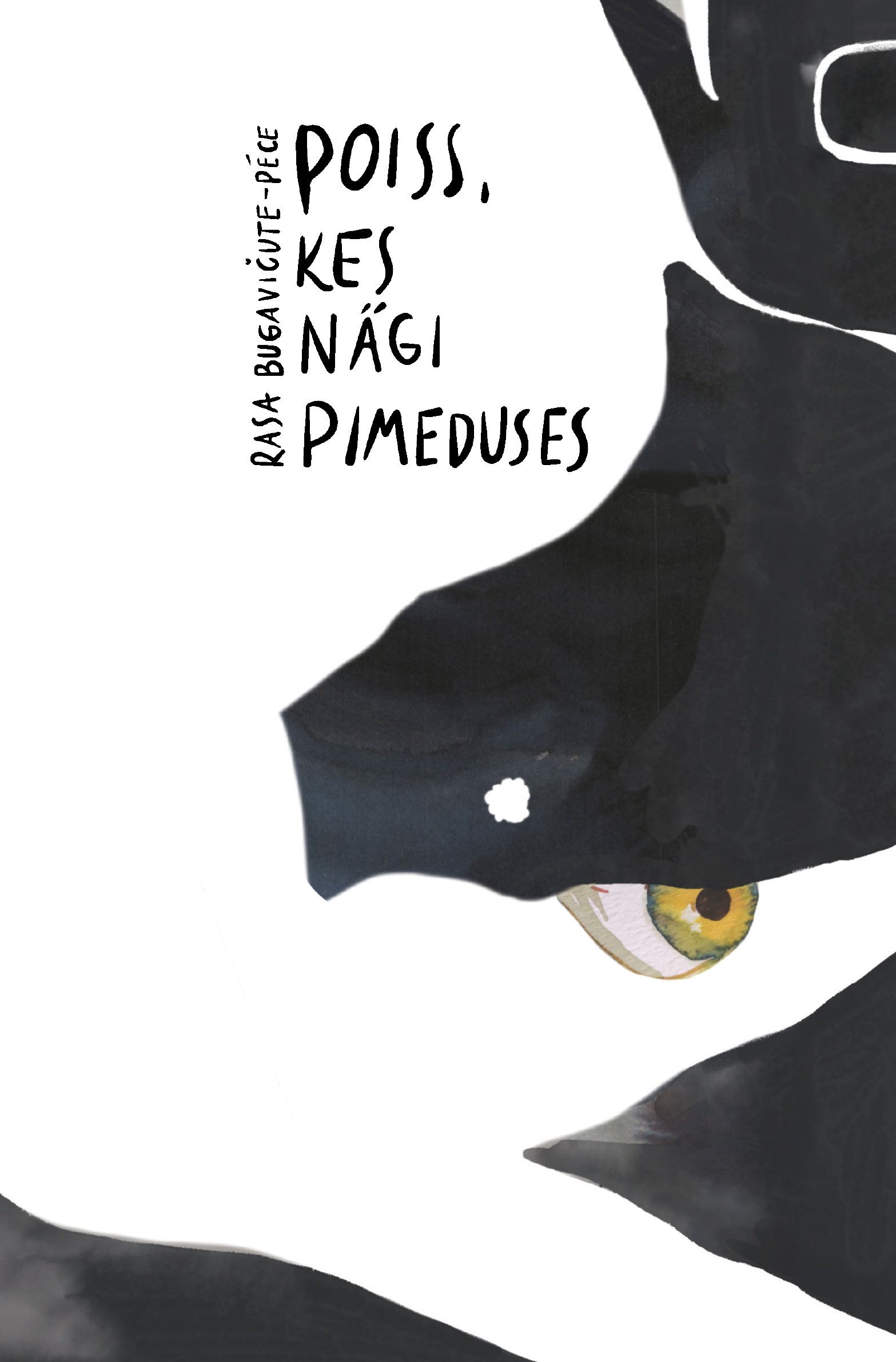 Poiss, kes nägi pimeduses book cover