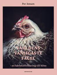 Världens vanligaste fågel- en kärleksförklaring till höns