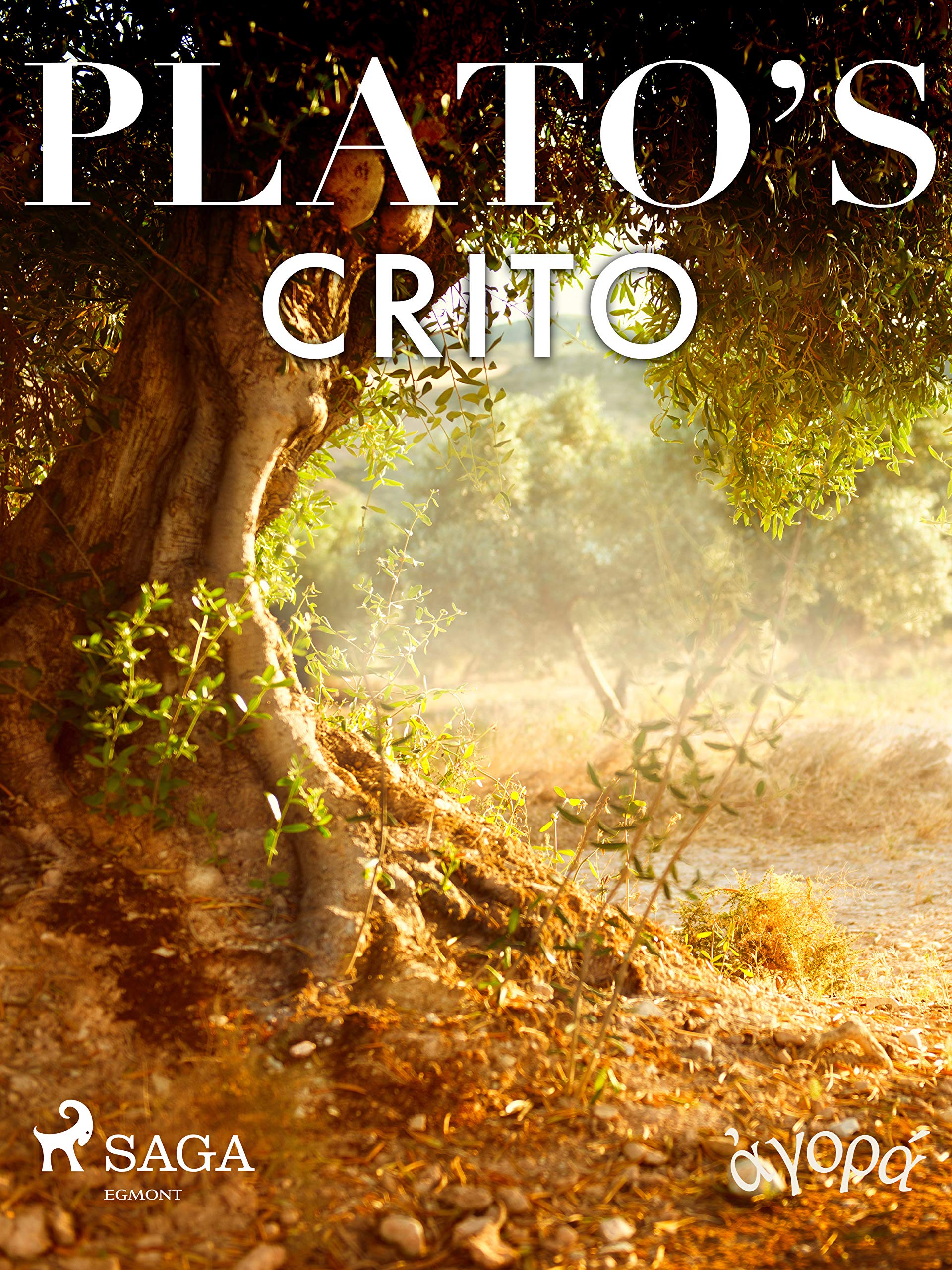 Plato’s Crito book cover