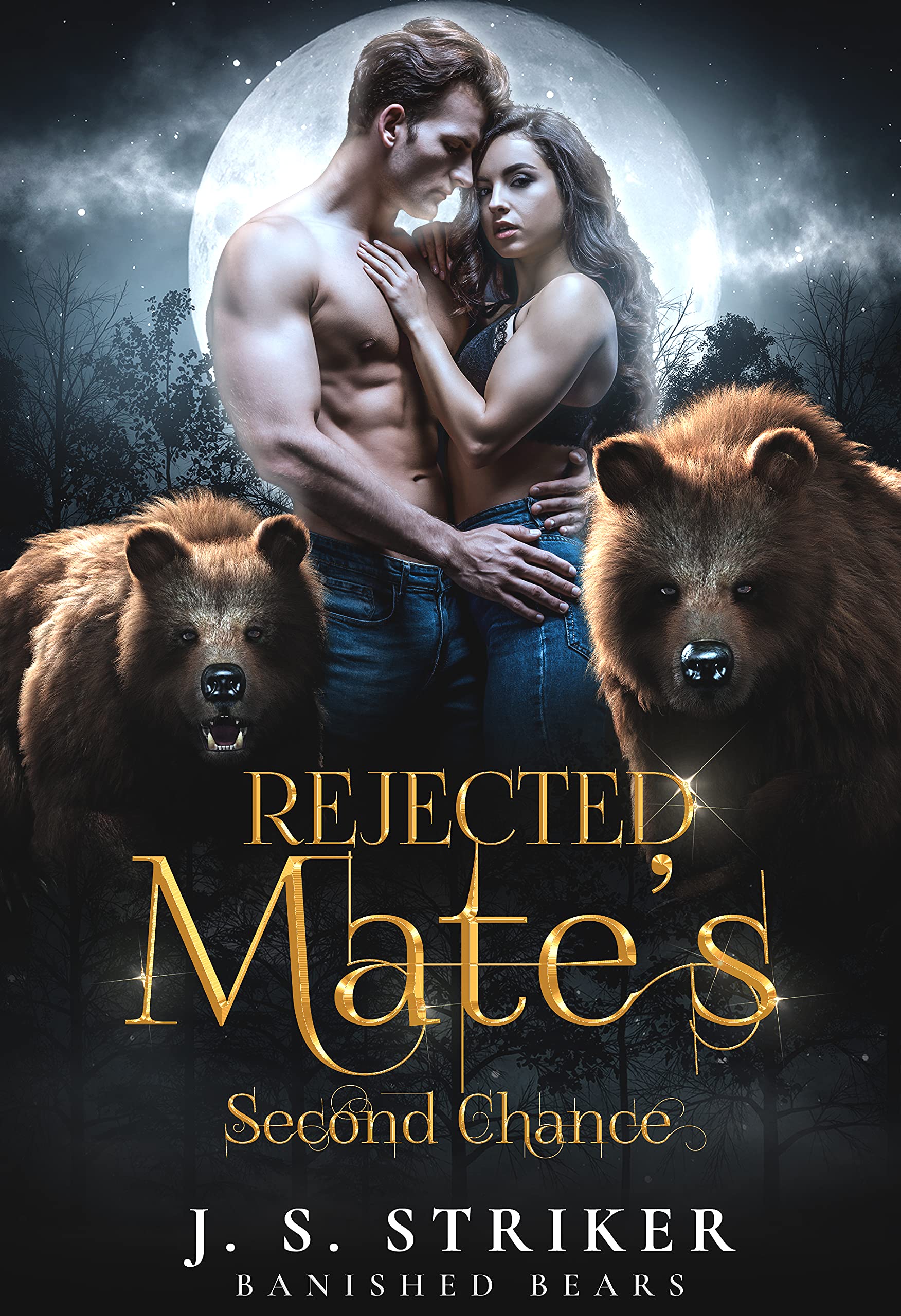 Rejected Mate's Second Chance book cover