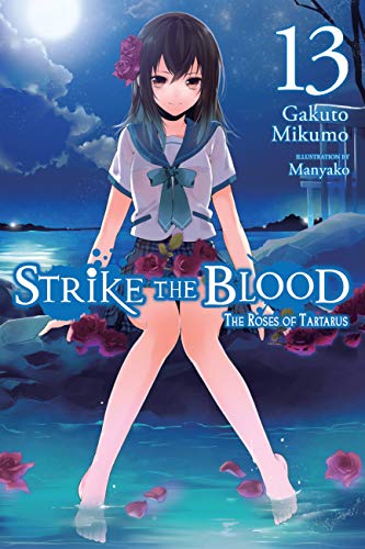 Strike the Blood, Vol. 13 book cover
