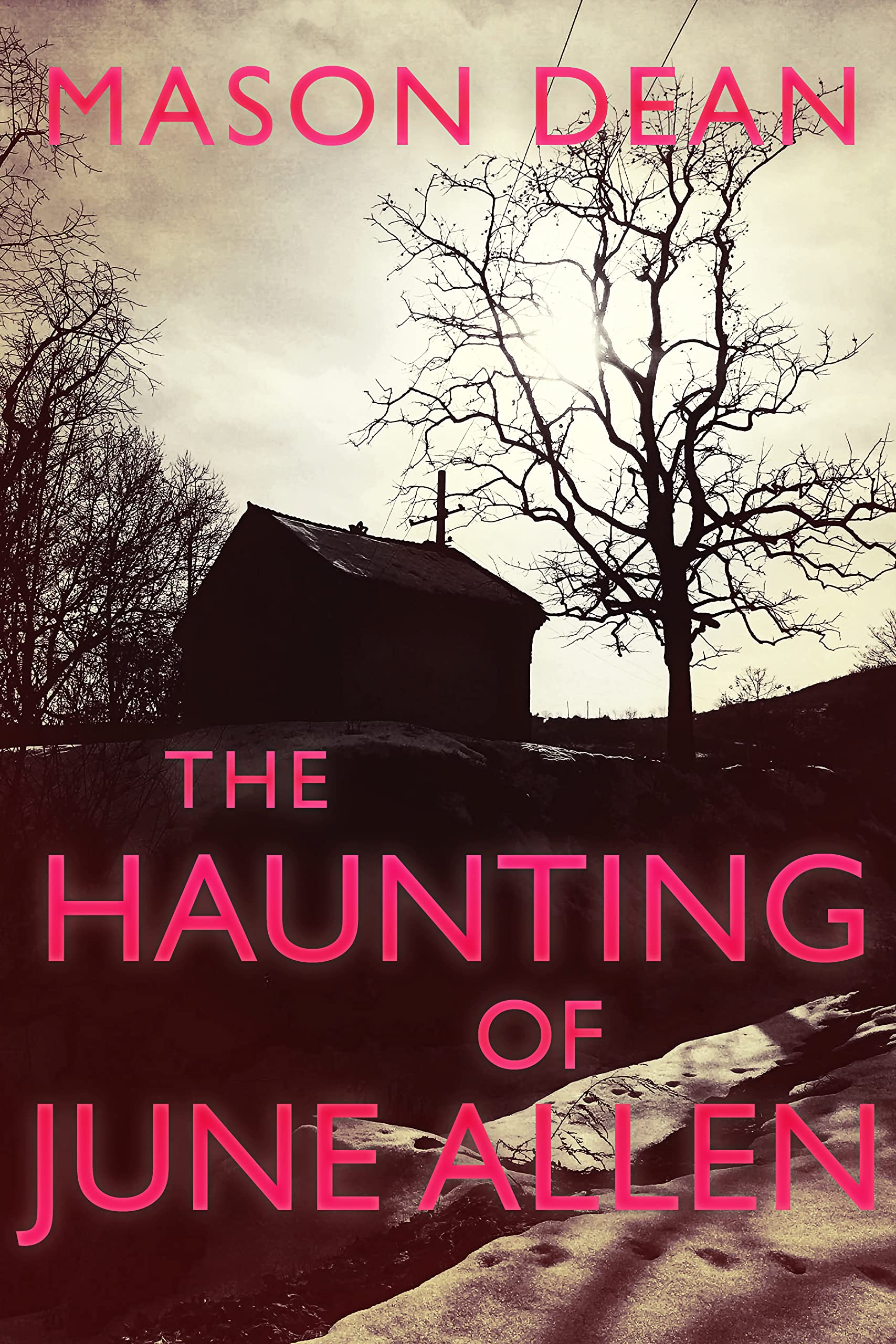 The Haunting of June Allen book cover