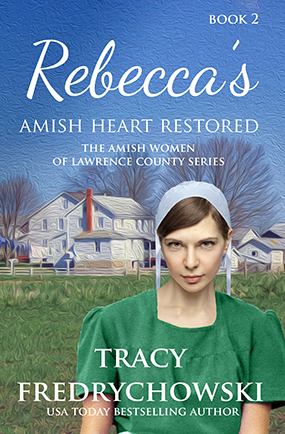 The Amish Women of Lawrence County book cover 2