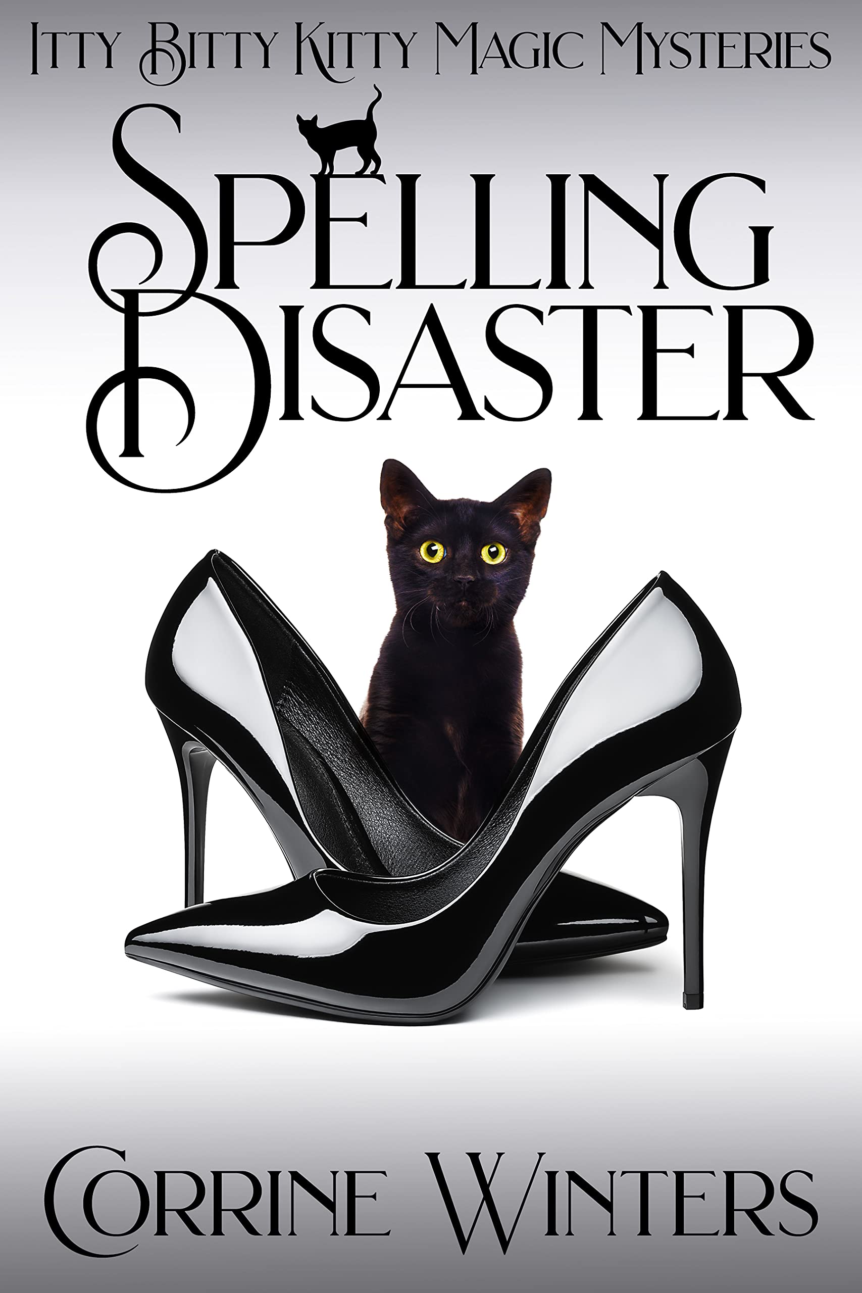 Spelling Disaster book cover