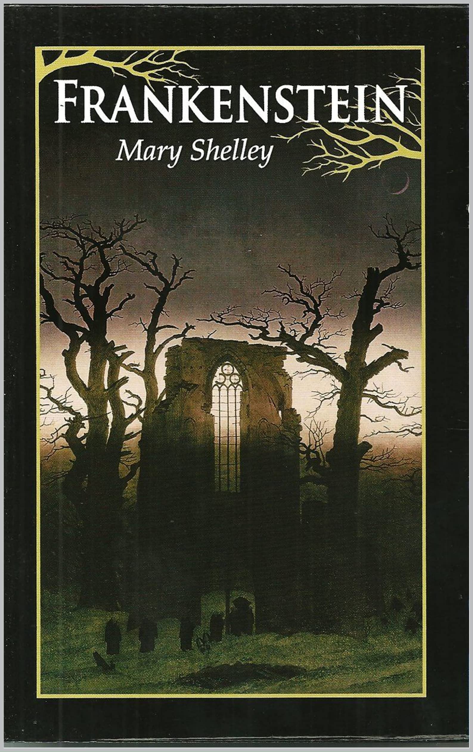 Frankenstein (Annotated ) + letters written by Robert Walton to Mrs