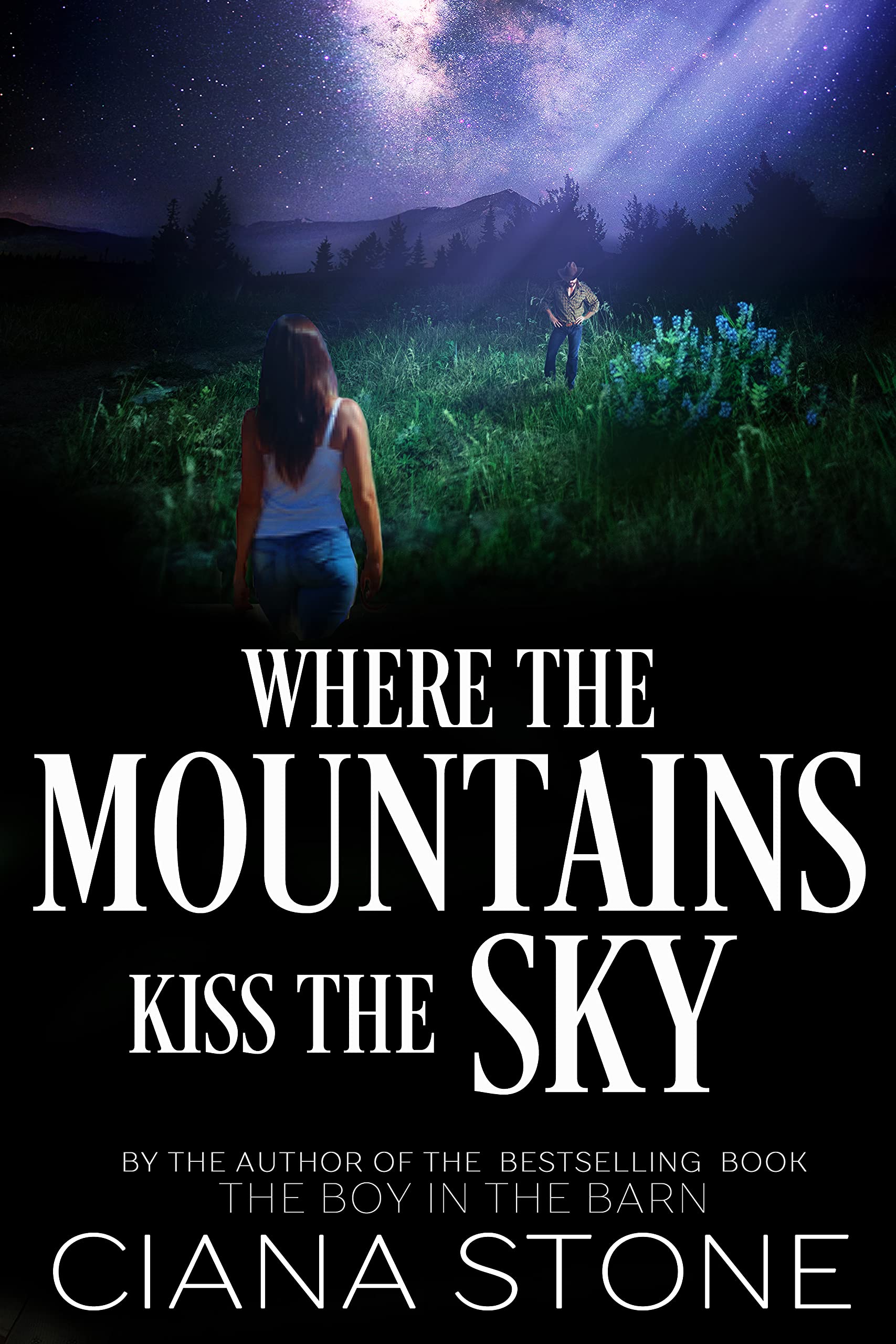 Where the Mountains Kiss the Sky book cover