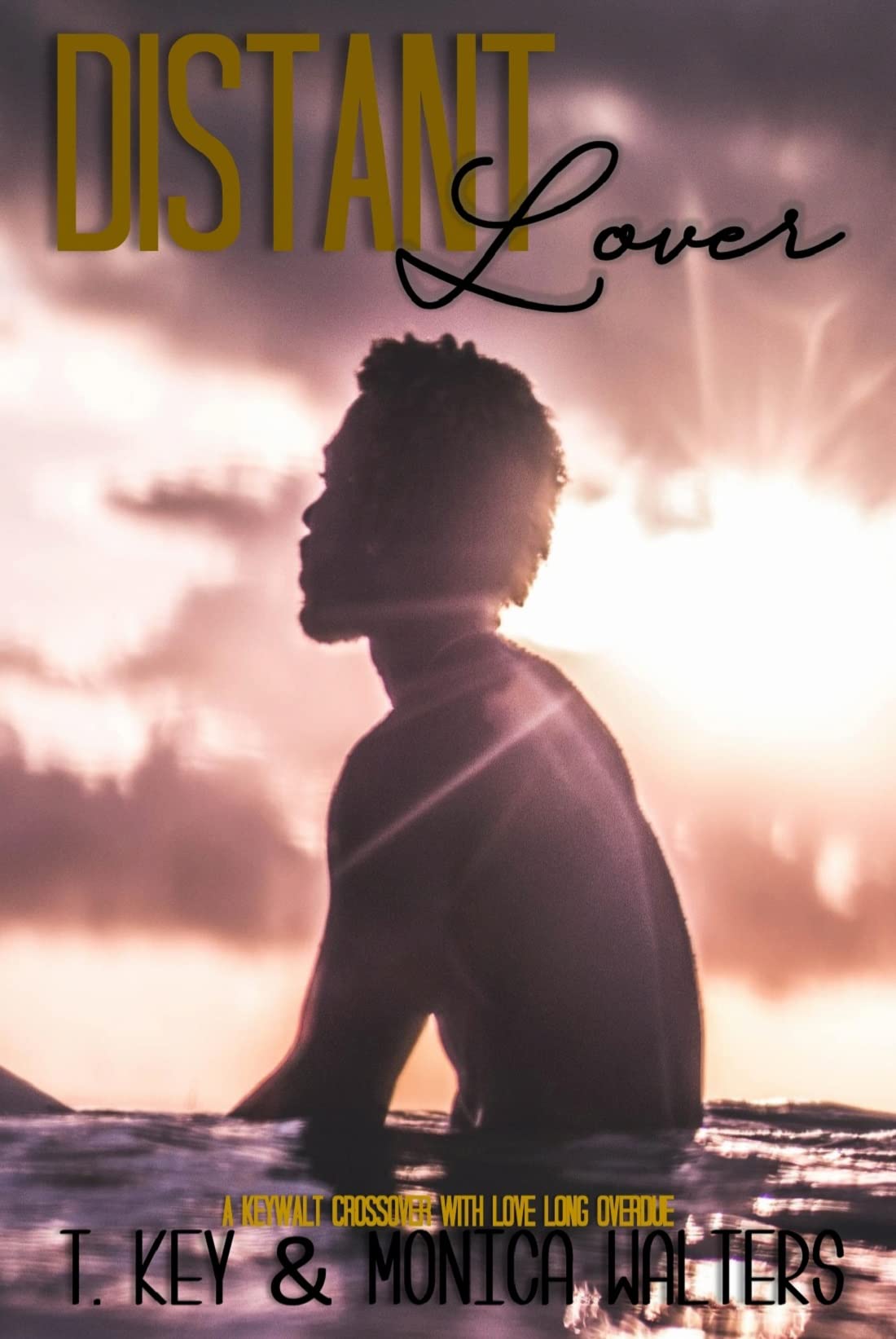 Distant Lover book cover