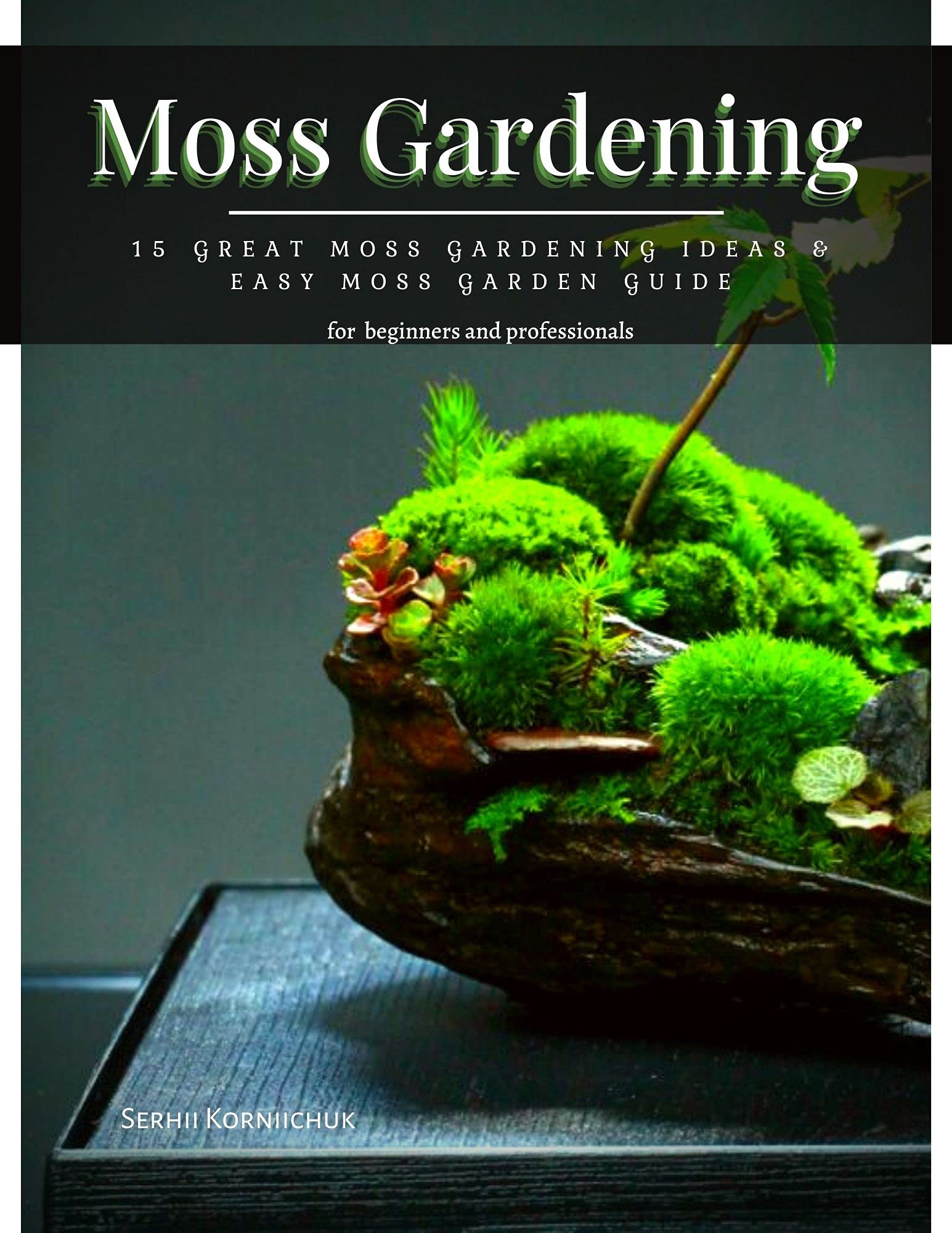Moss Gardening 15 Great Moss Gardening Ideas & Easy Moss Garden Guide by Serhii Korniichuk