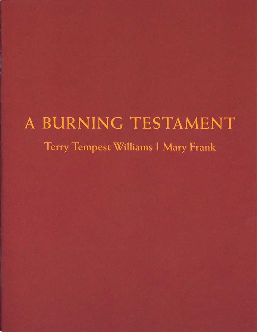 A Burning Testament book cover