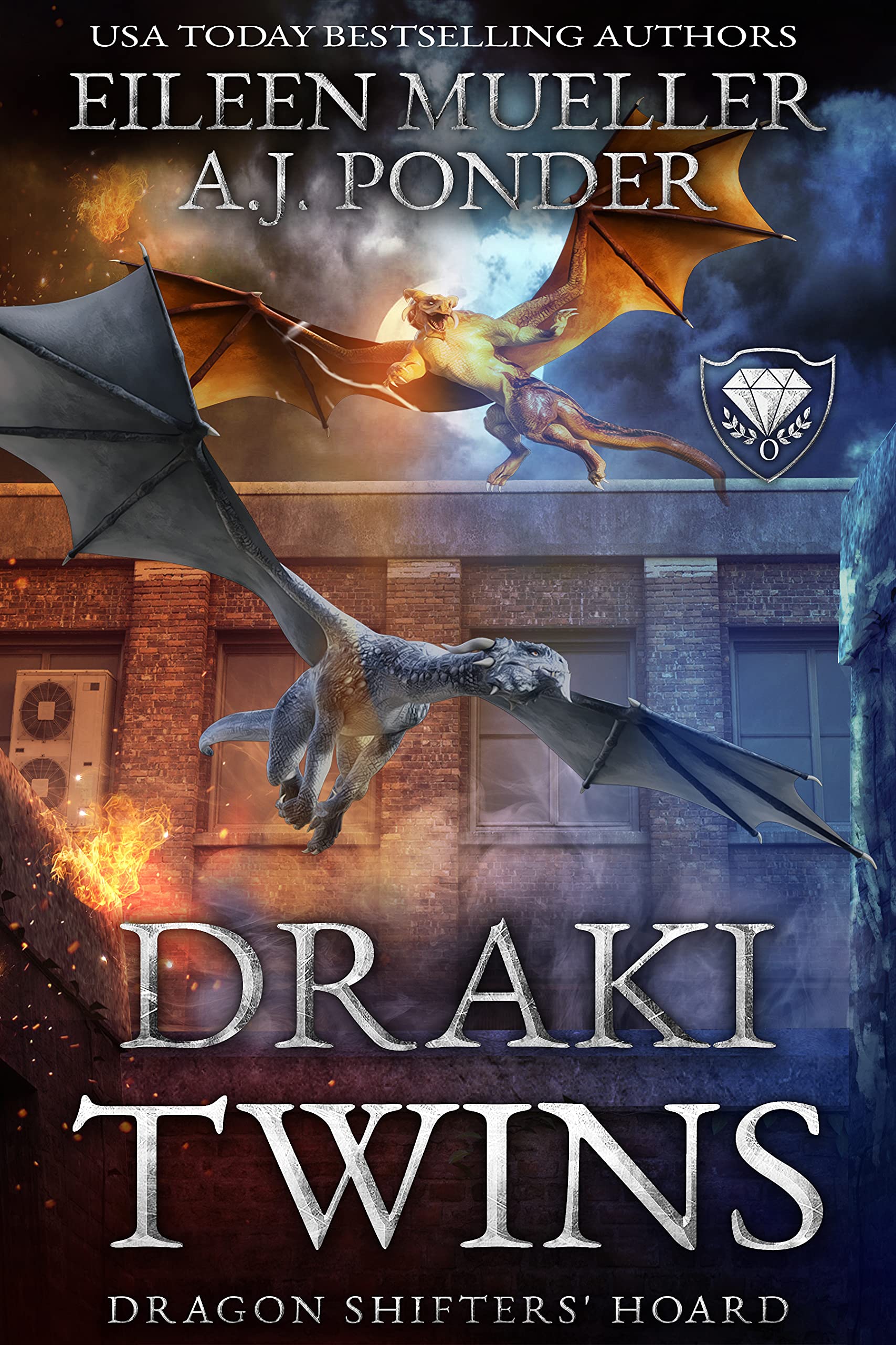 Draki Twins book cover