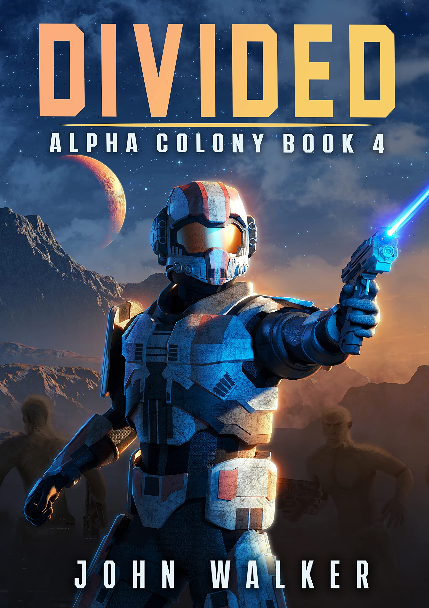 Divided book cover