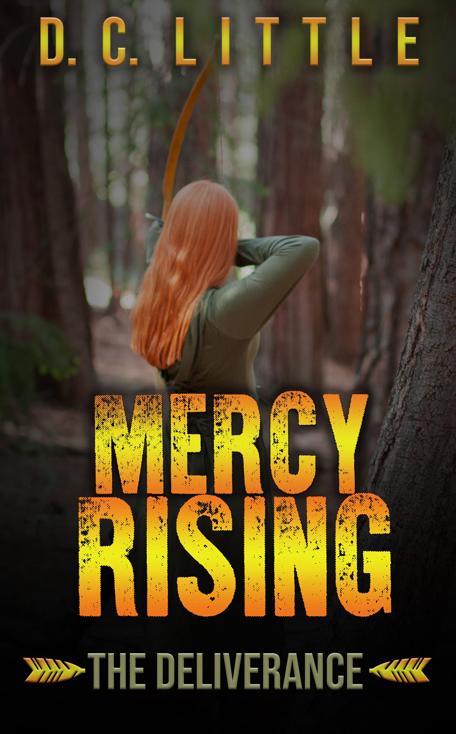 Mercyry Rising Mercy Rising: The Deliverance by D.C. Little | Goodreads