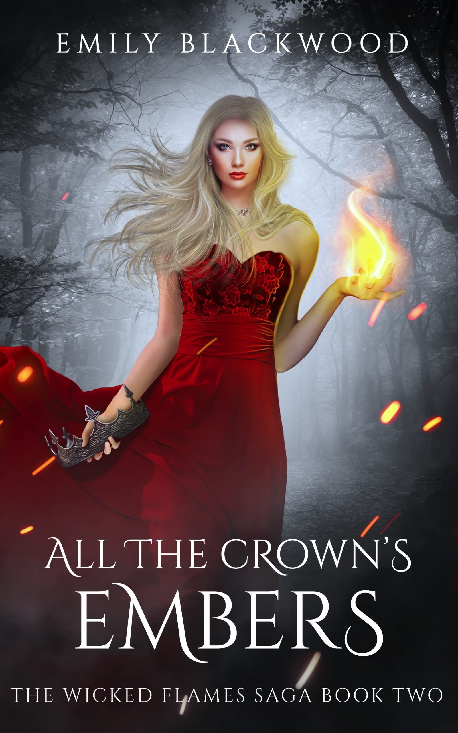 The Wicked Flames Saga book cover 2
