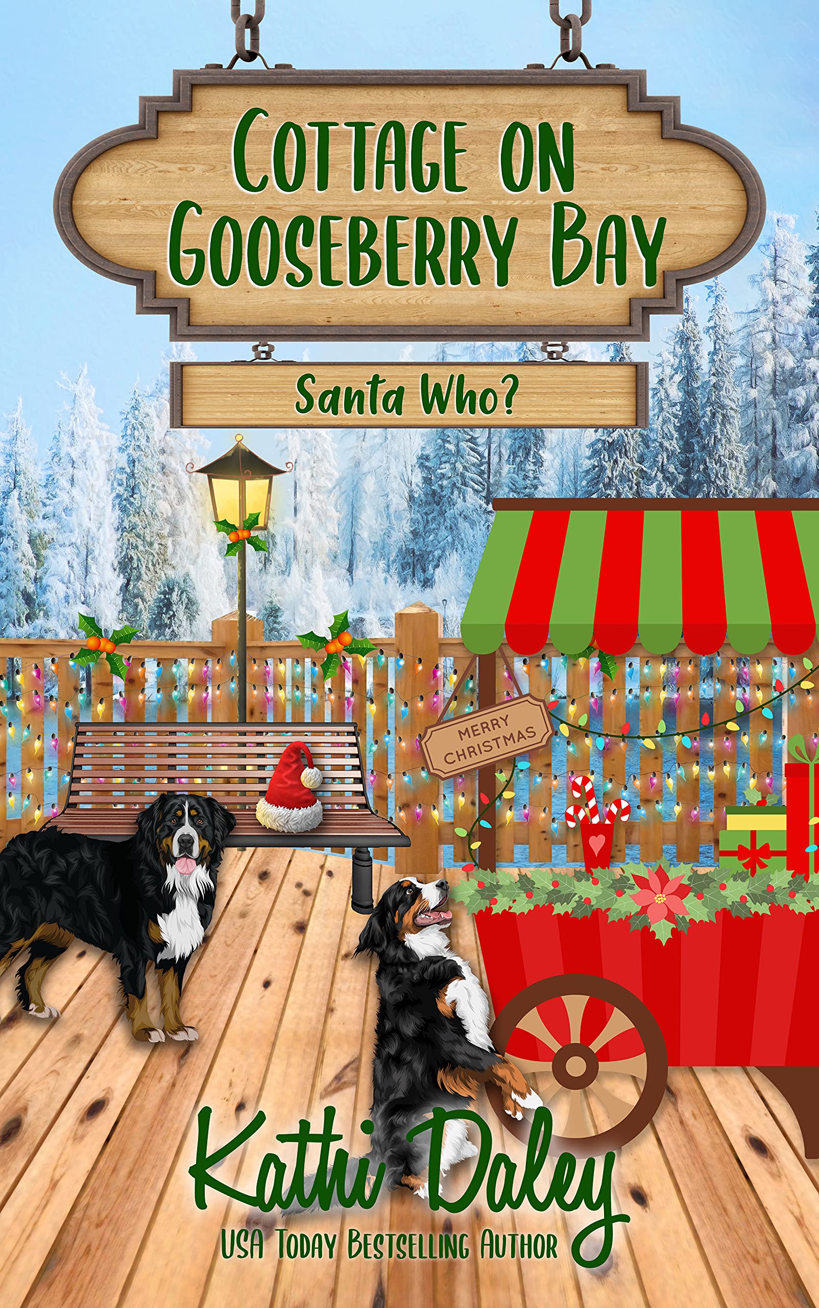 Santa Who? book cover