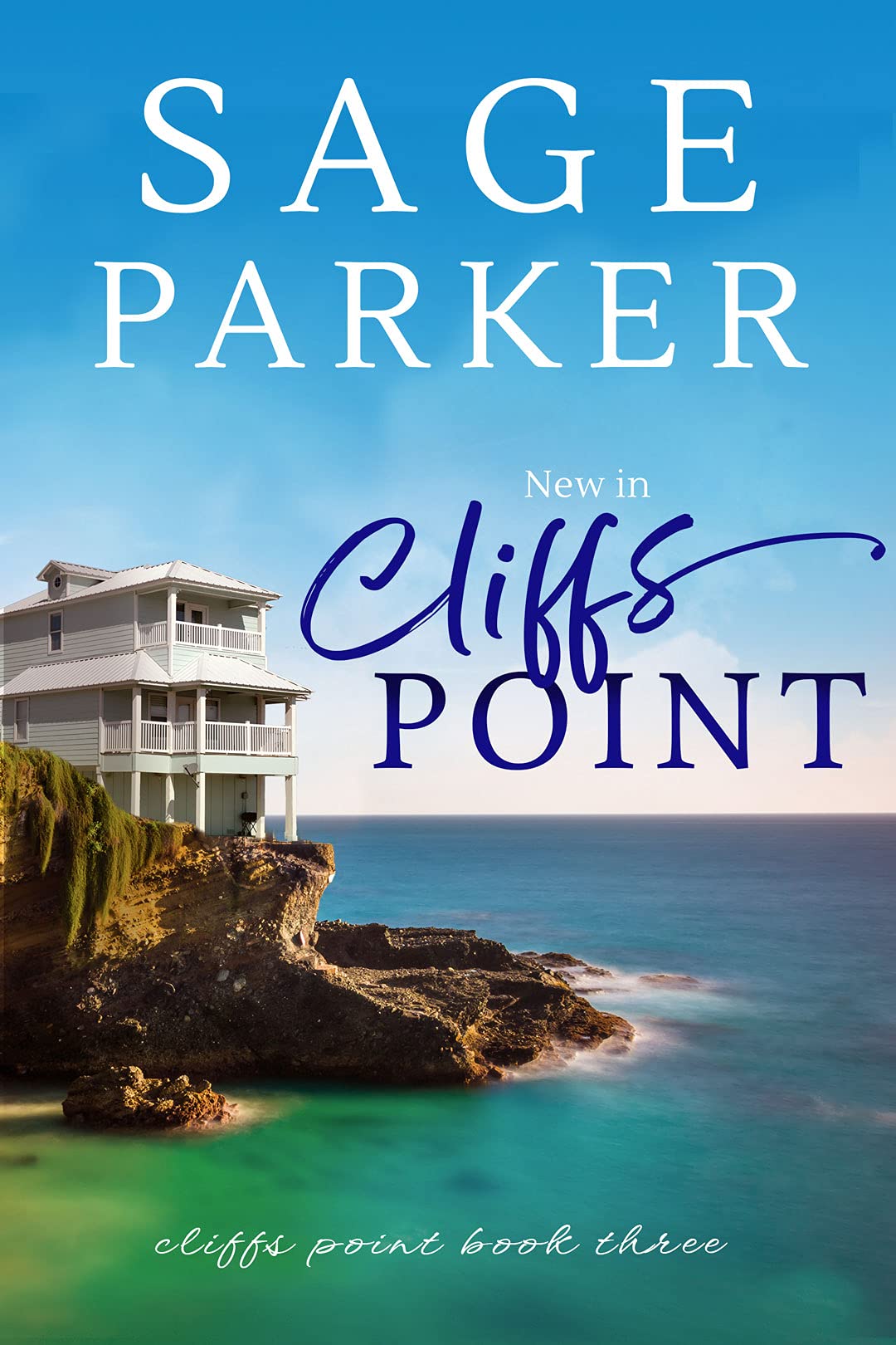 Cliffs Point book cover 3