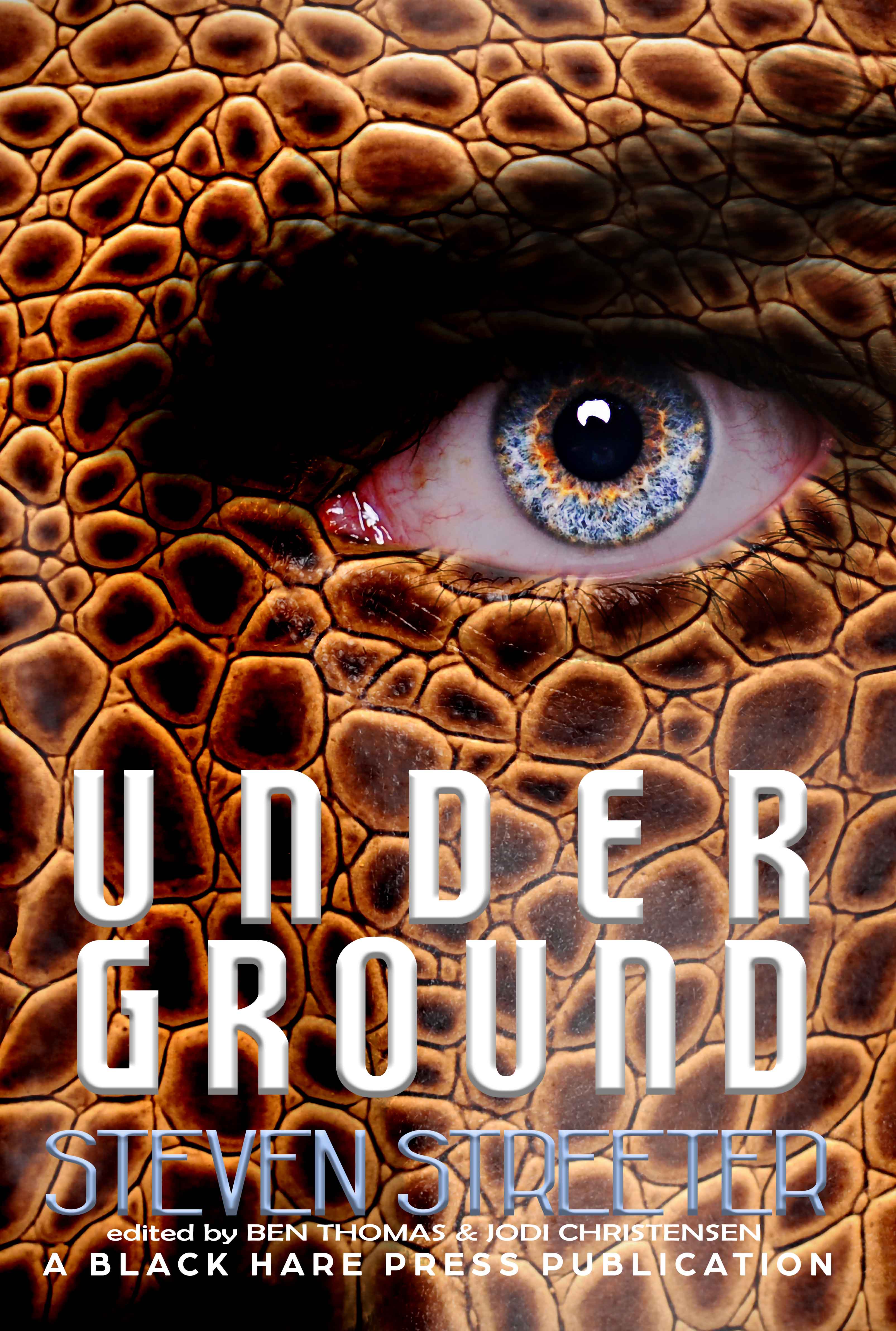 Under Ground book cover