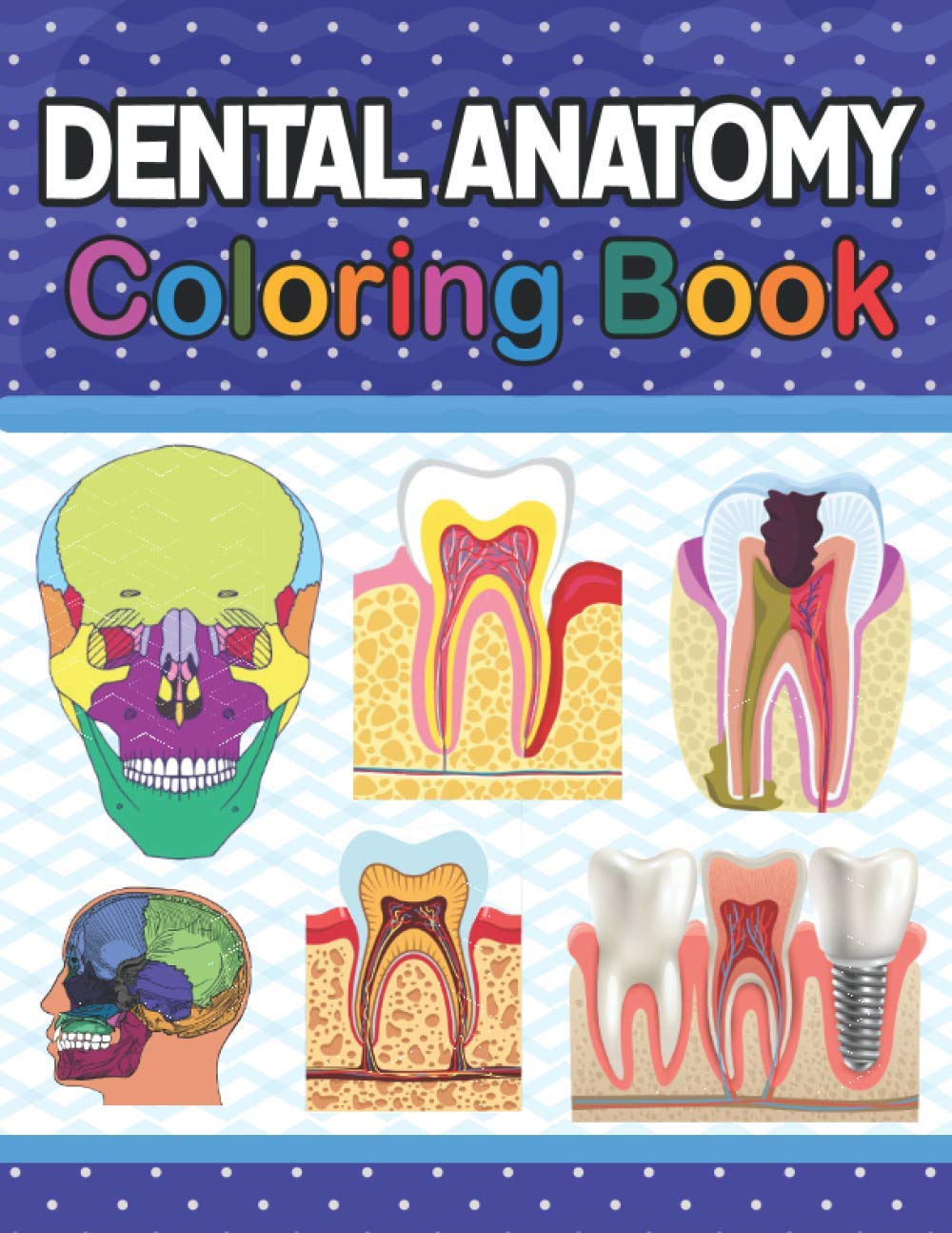 Dental Anatomy Coloring Book: Tooth Anatomy Coloring Work Book for