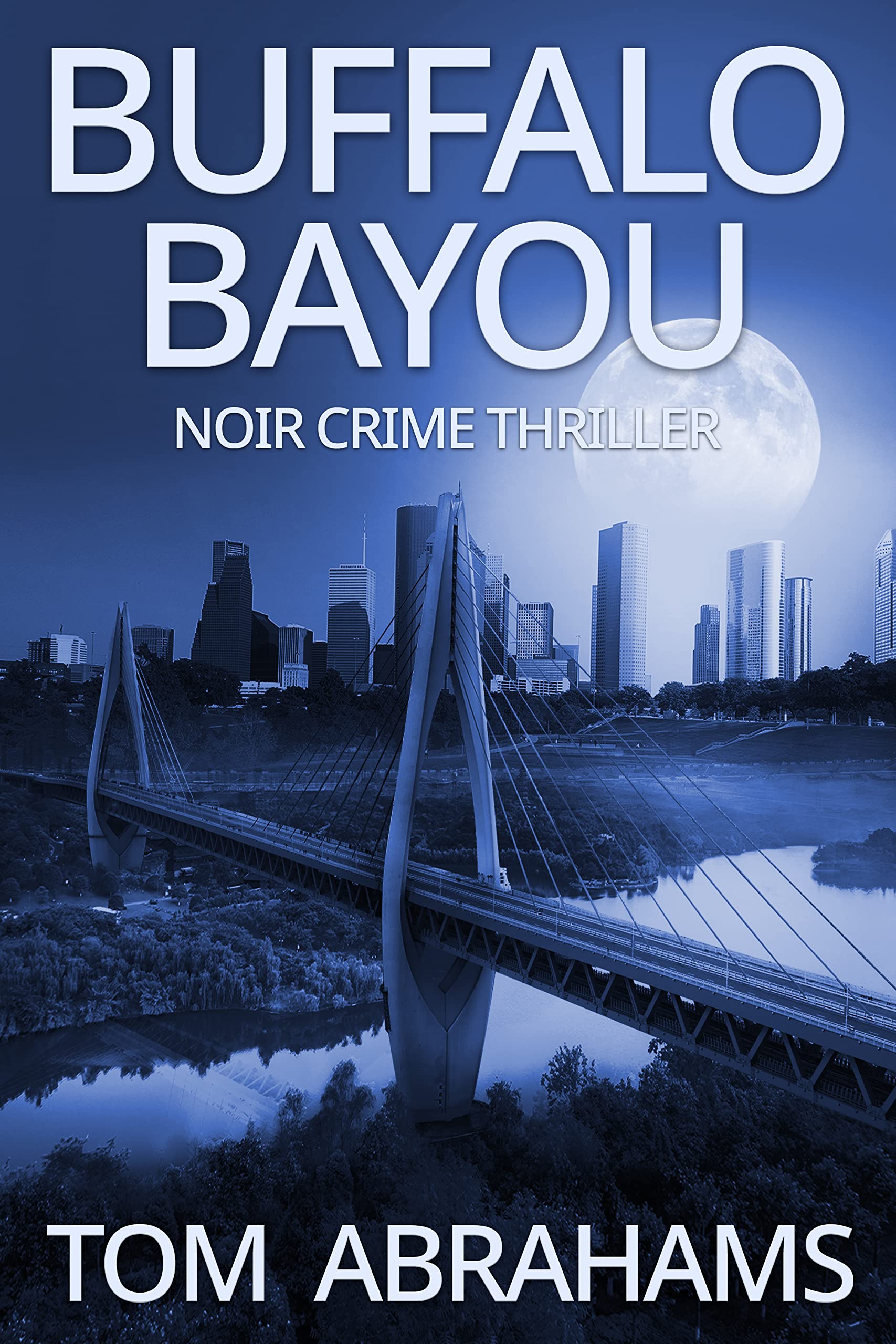 Buffalo Bayou book cover