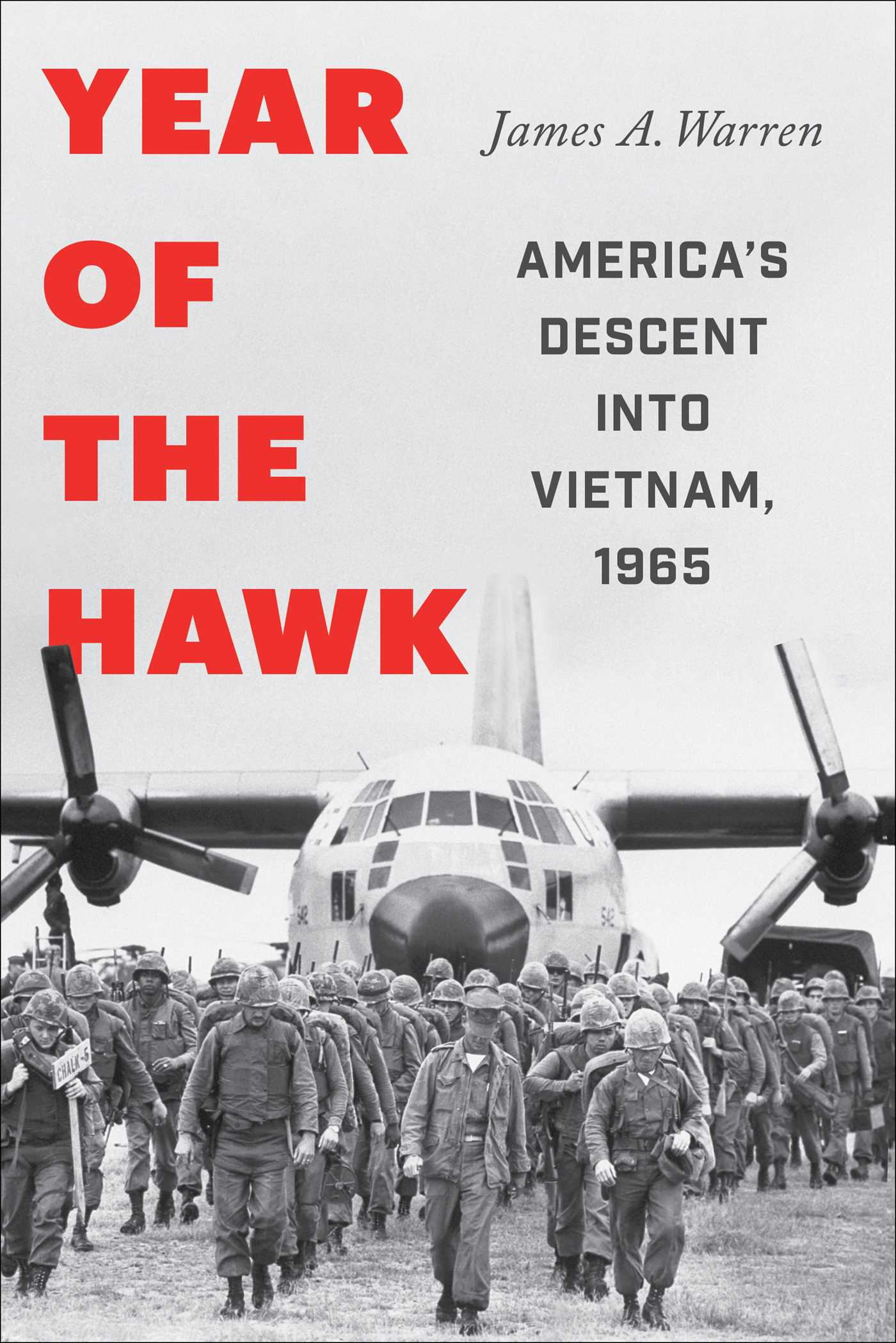 Year of the Hawk: America's Descent into Vietnam, 1965