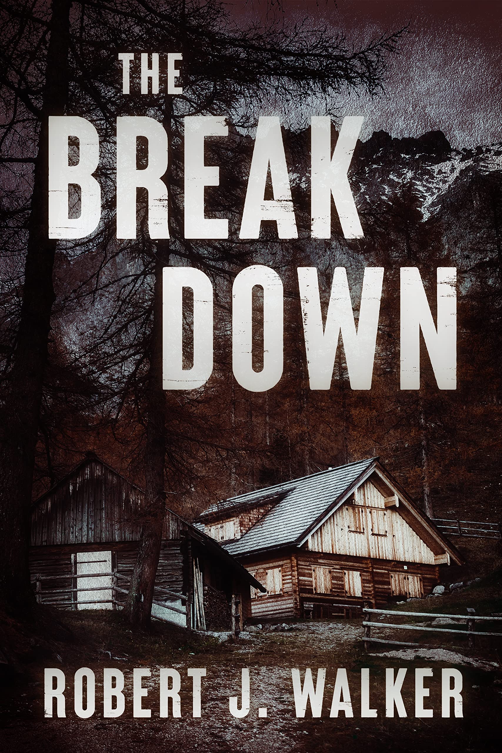 The Break Down book cover