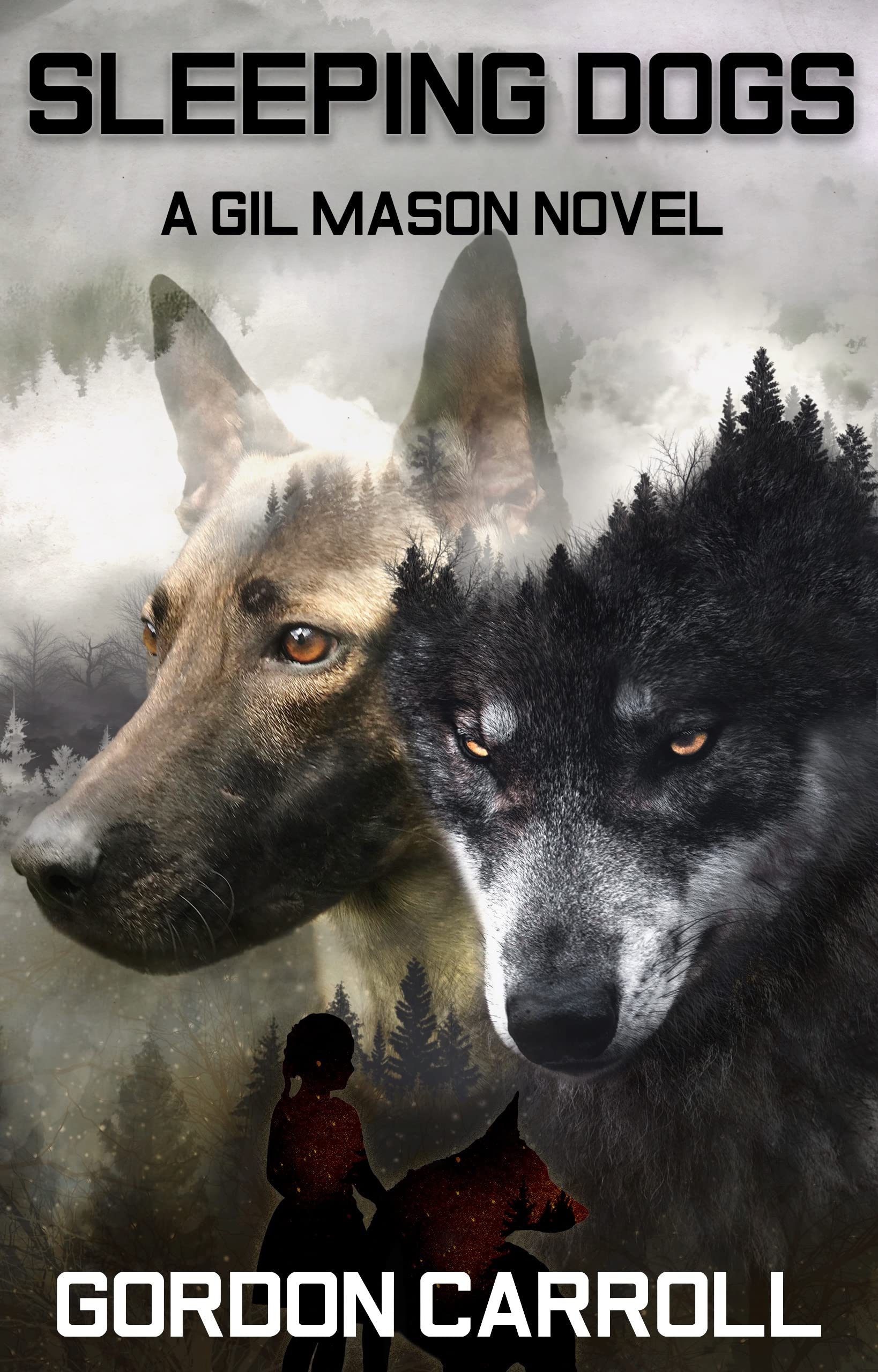 Sleeping Dogs: A Gil Mason Novel