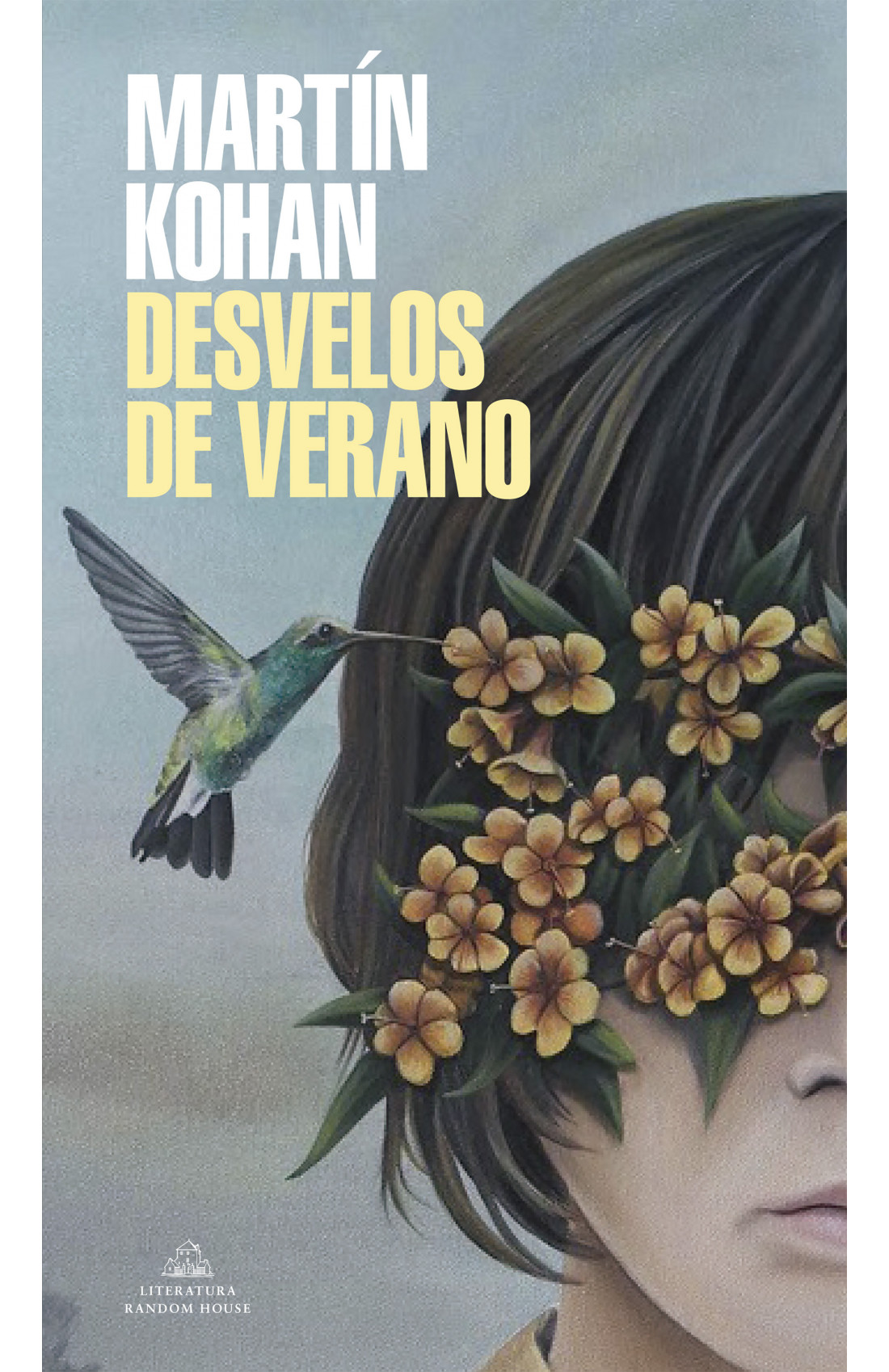 Desvelos de verano book cover
