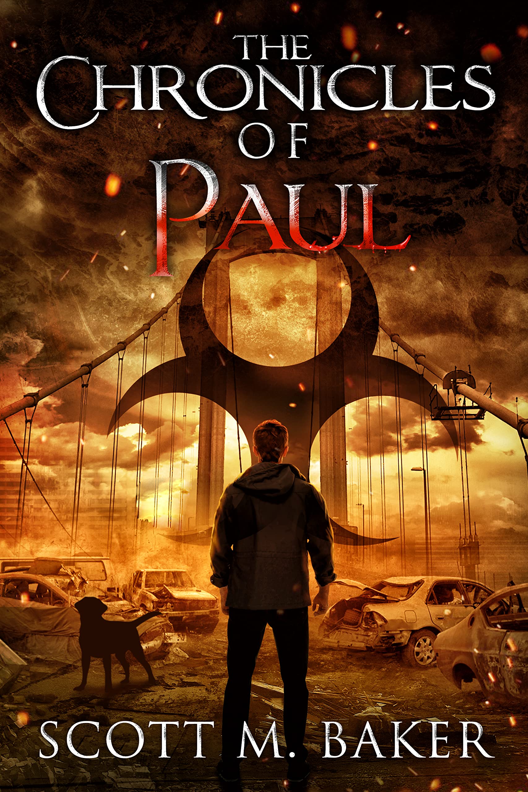 The Chronicles of Paul: A Nurse Alissa Spin-Off