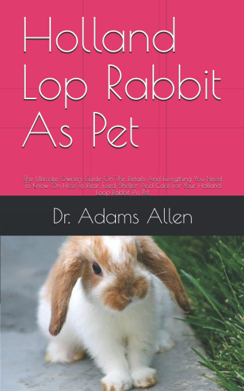 Holland Lop Rabbit As Pet The Ultimate Owners Guide On The Details And