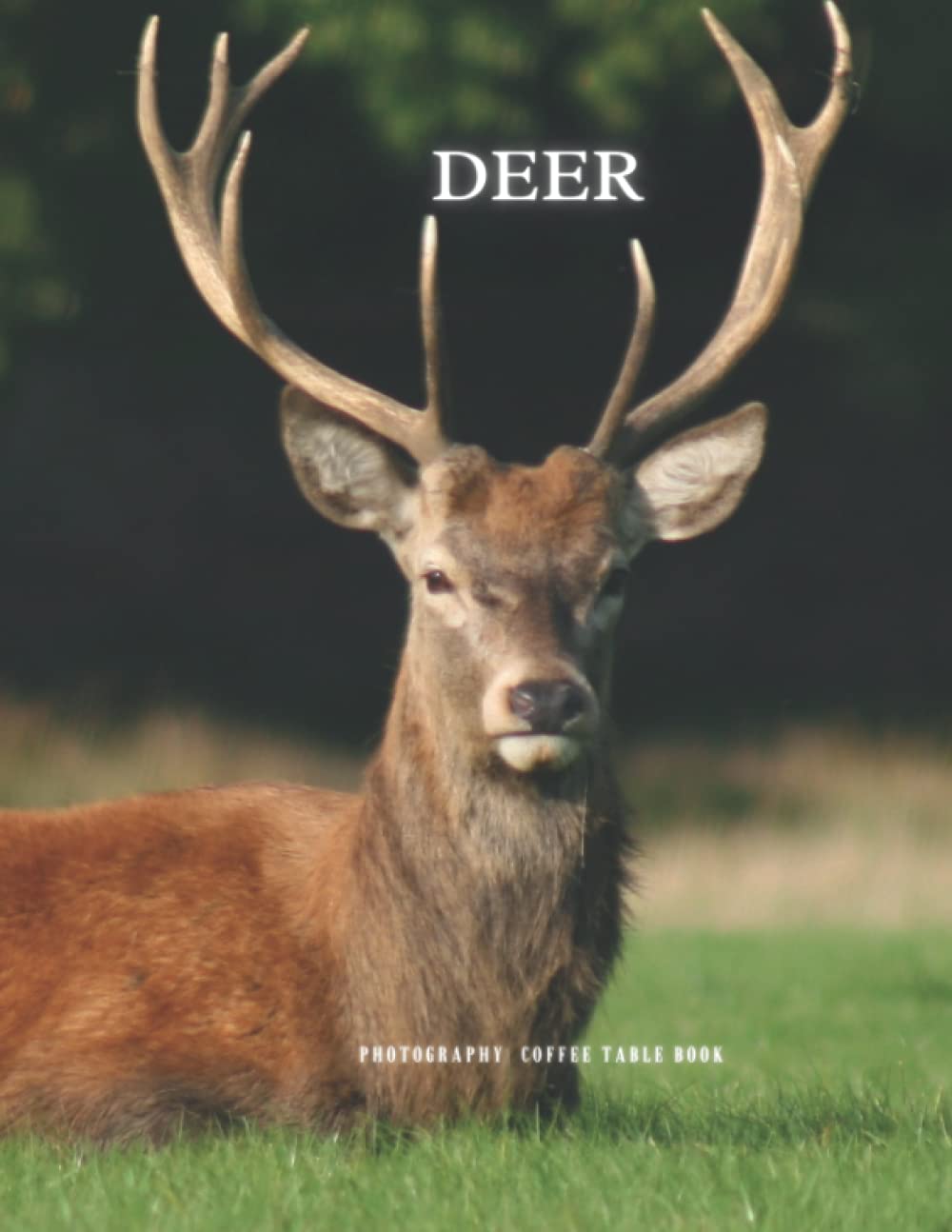 Deer Photography Coffee Table Book For Relaxing , Meditation and For