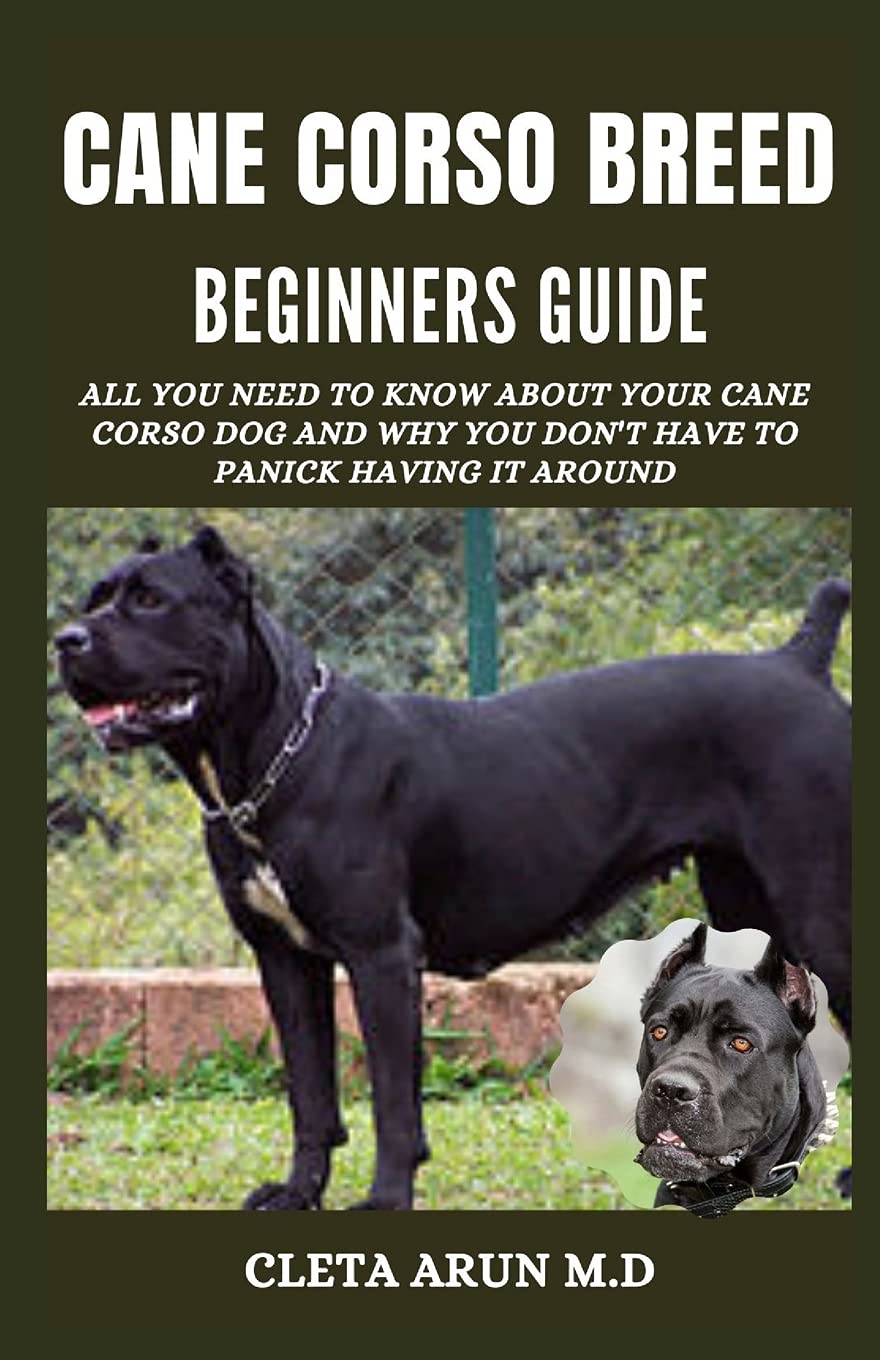 CANE CORSO BREED BEGINNER'S GUIDE All You Need to Know About Your Cane