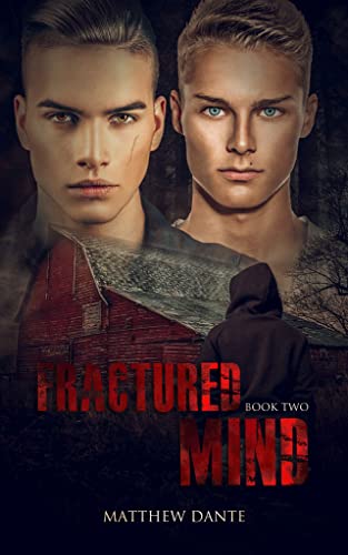 Fractured book cover 2