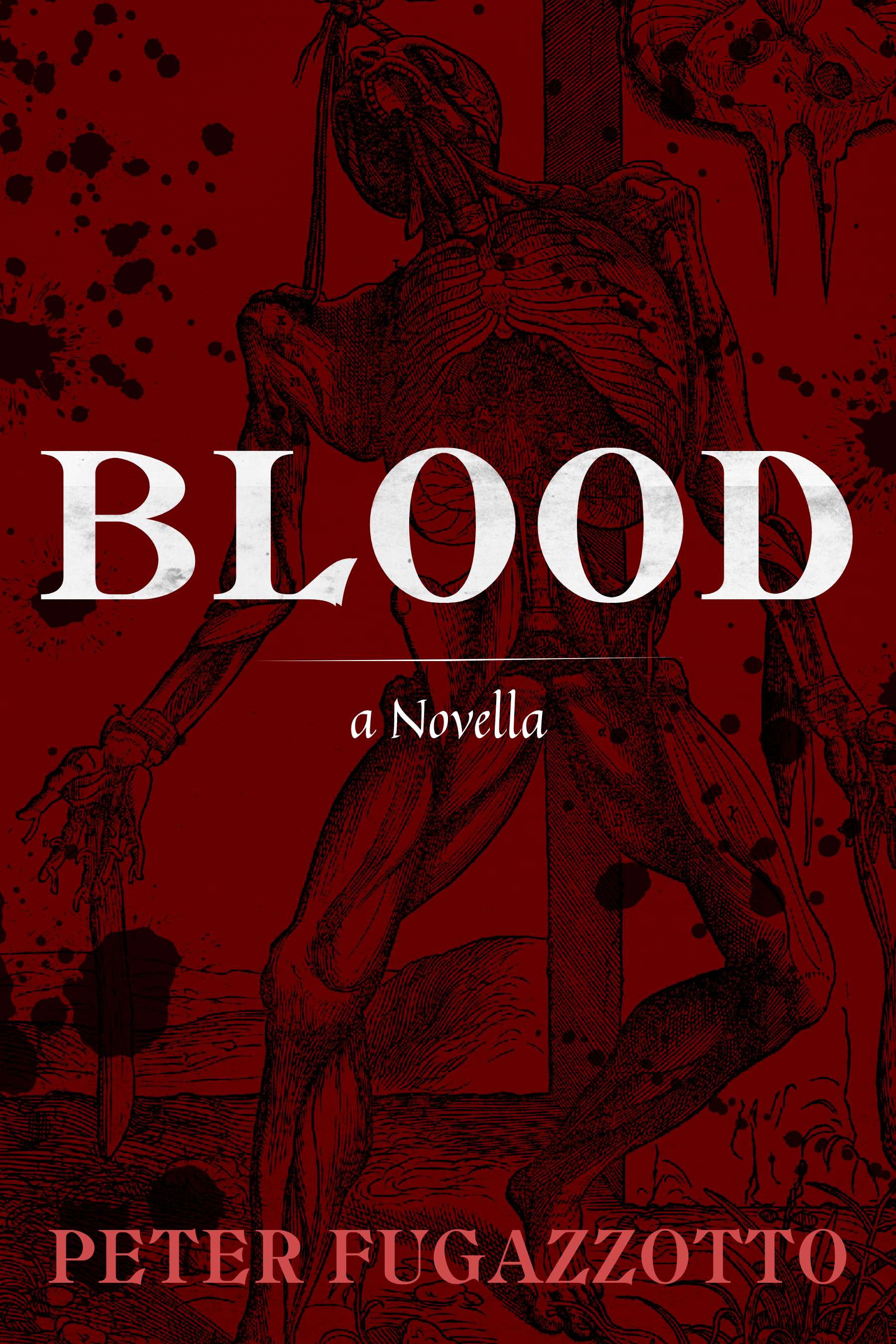 Anatomica Triptych book cover 2