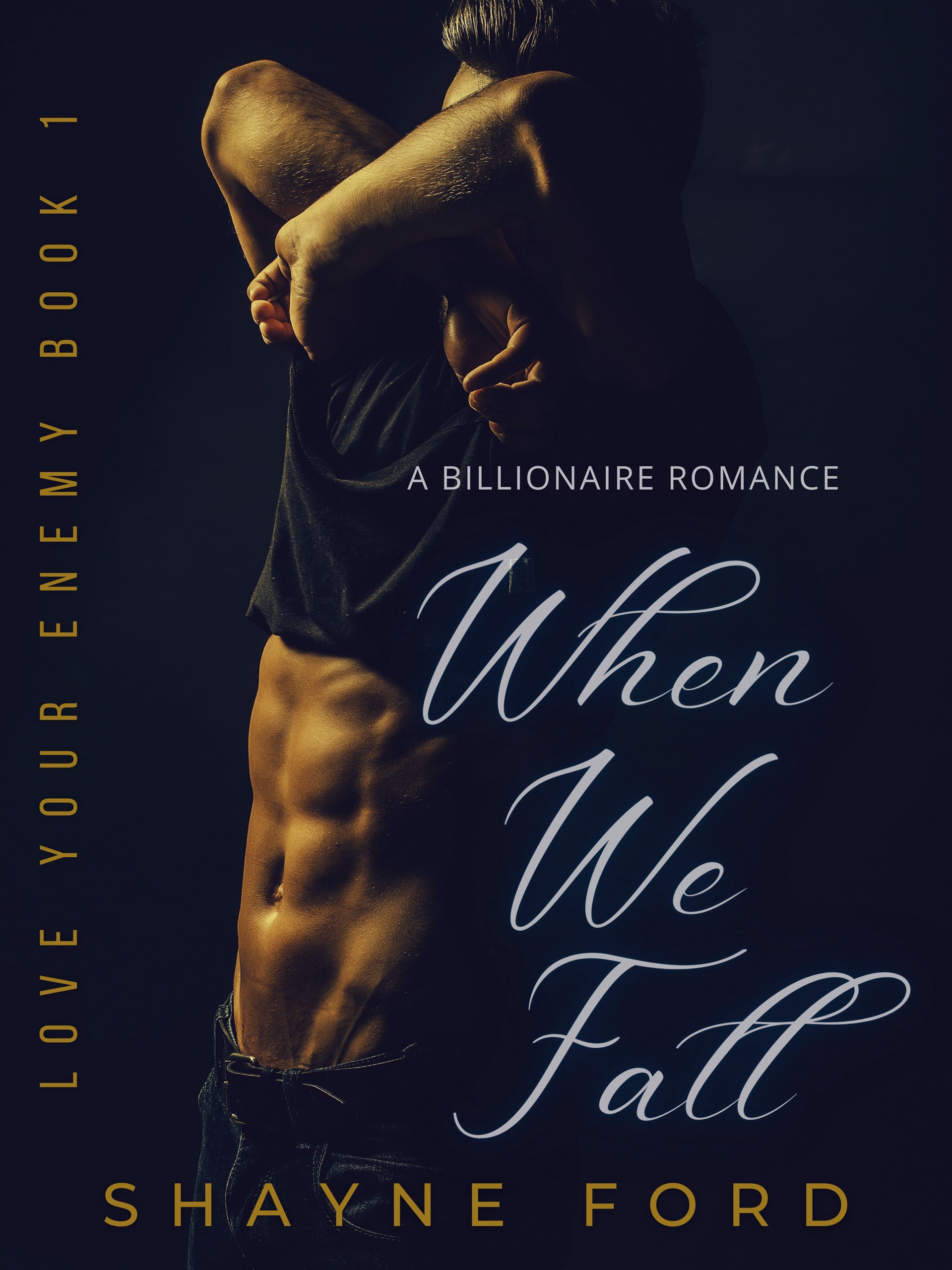 When We Fall book cover