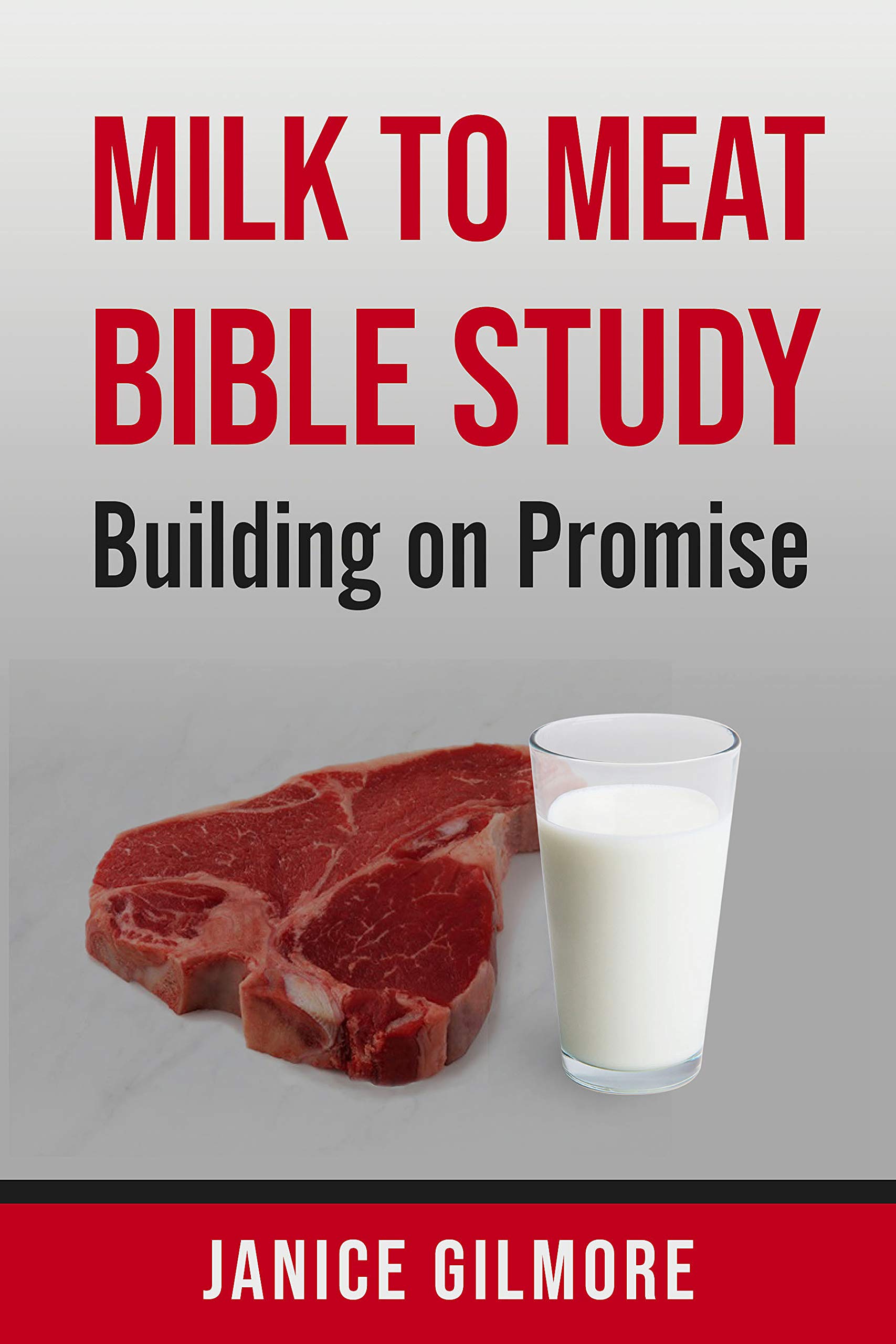 MILK TO MEAT BIBLE STUDY Building On Promise by Janice Gilmore Goodreads