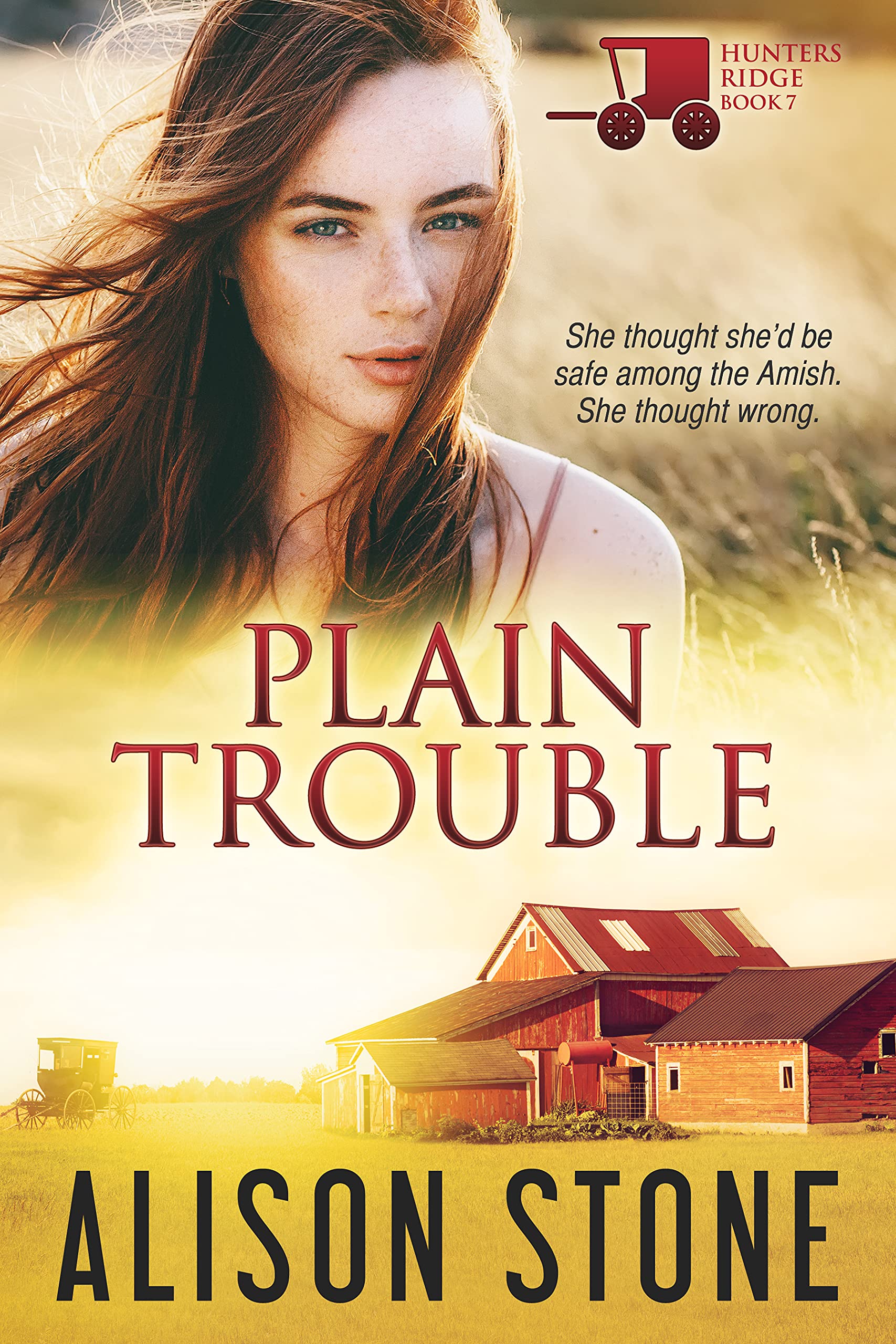 Plain Trouble