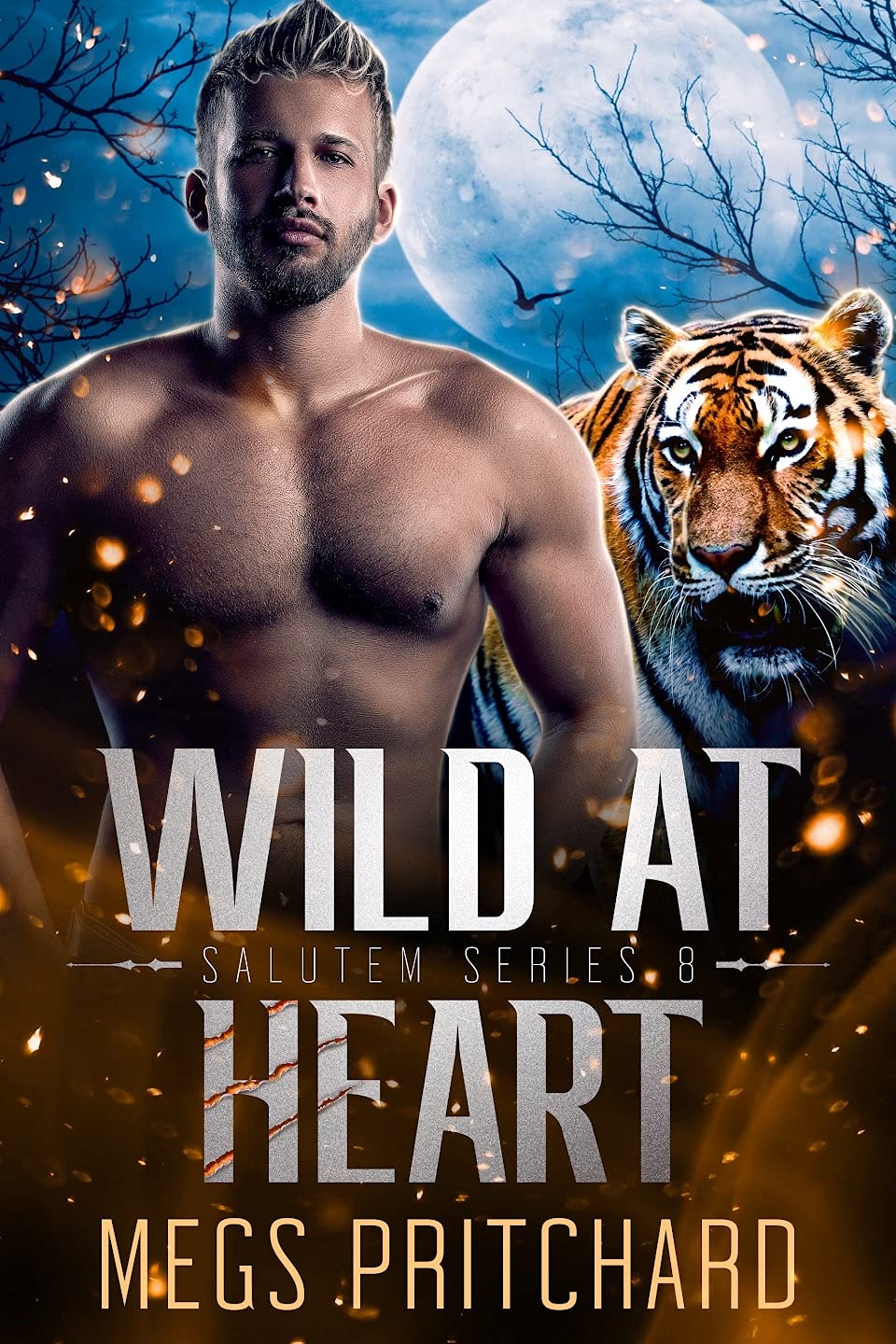 Wild at Heart book cover