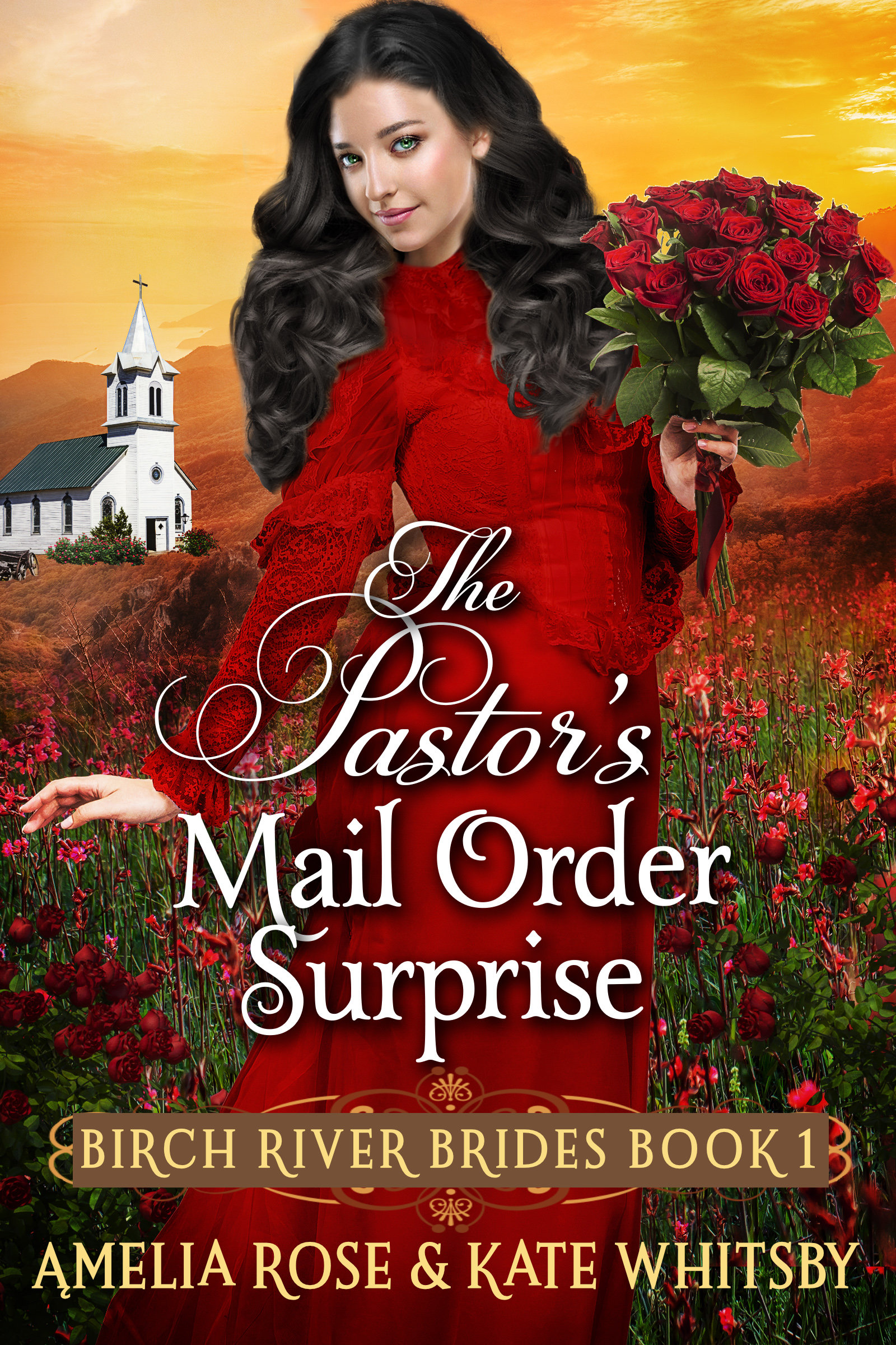 The Pastor's Mail Order Surprise book cover