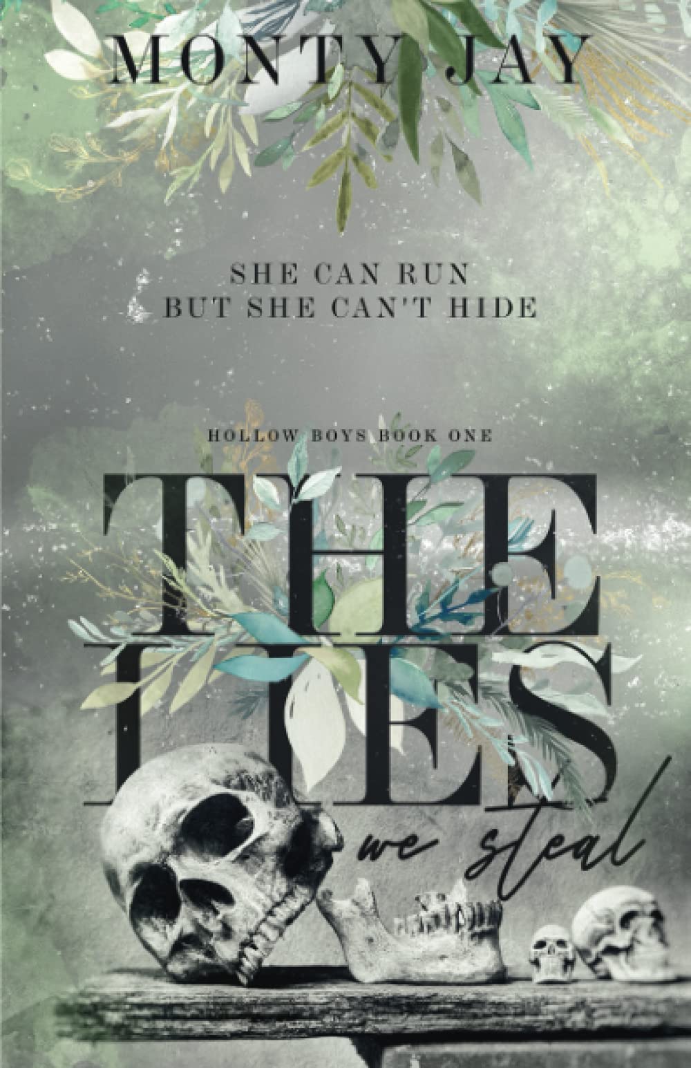 The Lies We Steal (The Hollow Boys #1)