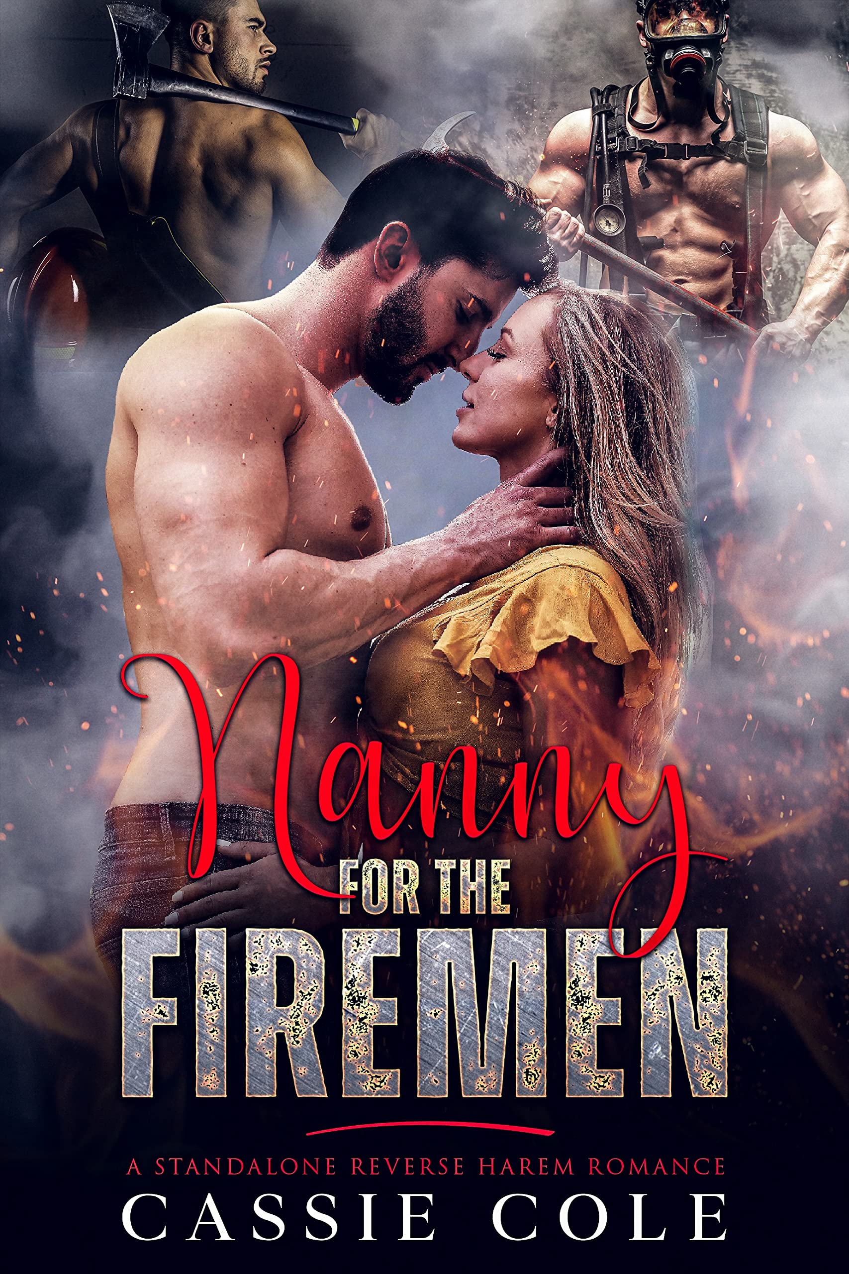 Nanny for the Firemen book cover