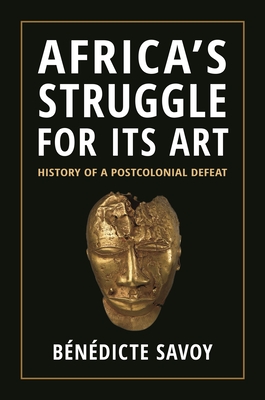 0352　SOUTH AFRICA The Struggle for a New South Africa: The Struggle for a New Order: Ottaway, Marina