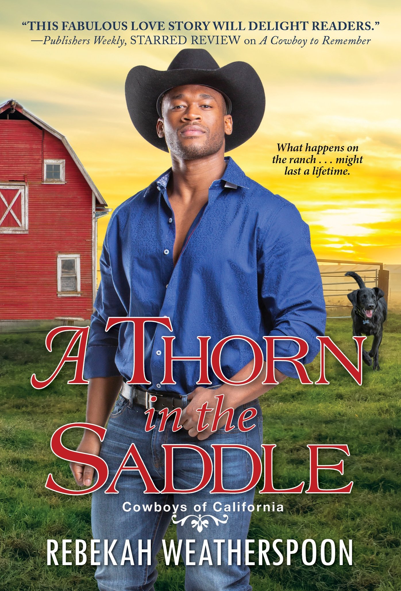 A Thorn in the Saddle (Cowboys of California, #3)